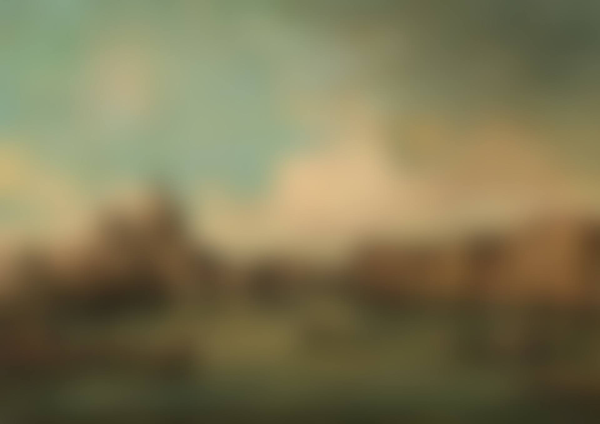 The entry of the Canal Grande (preview)