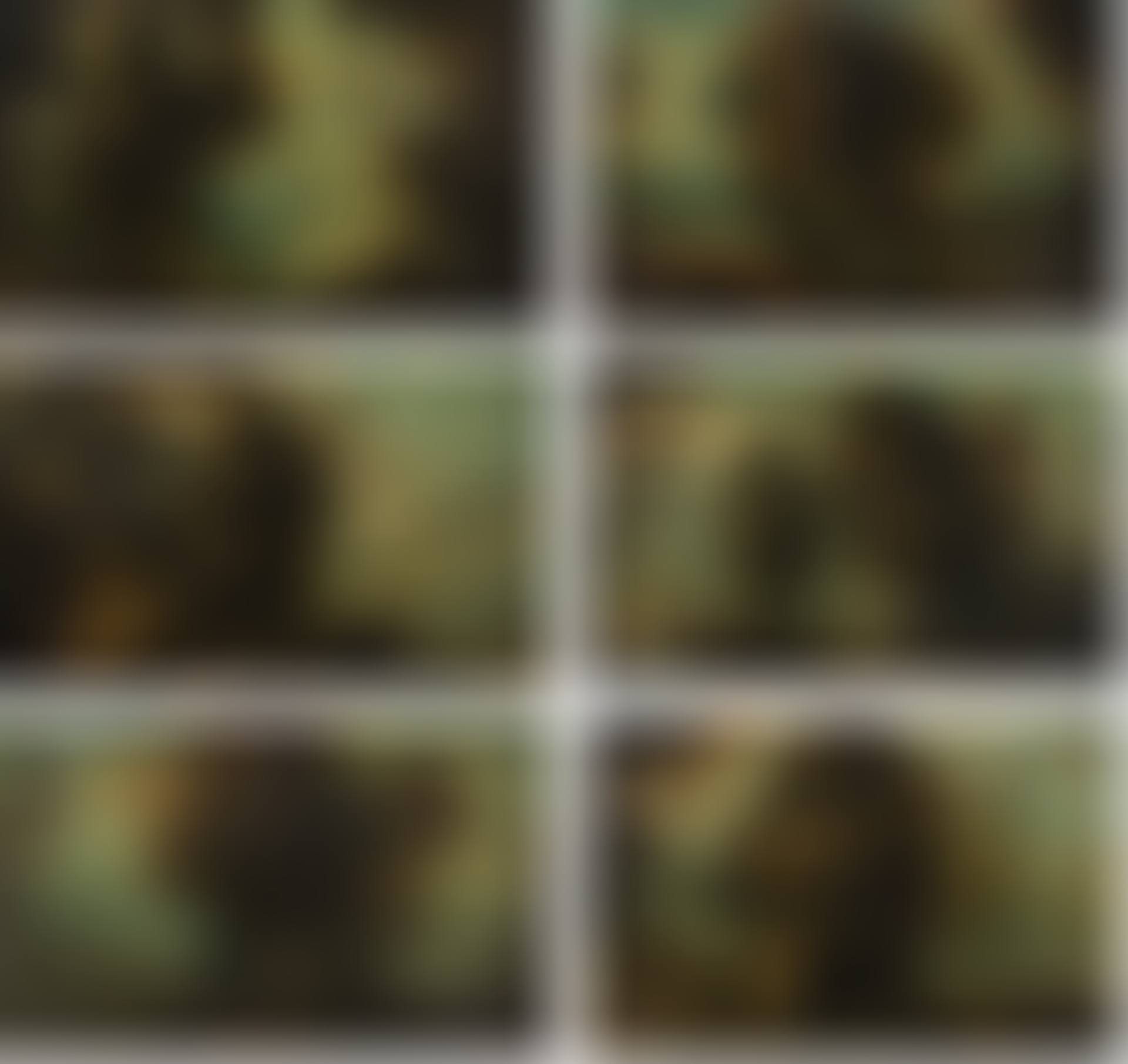 6 landscapes (preview)
