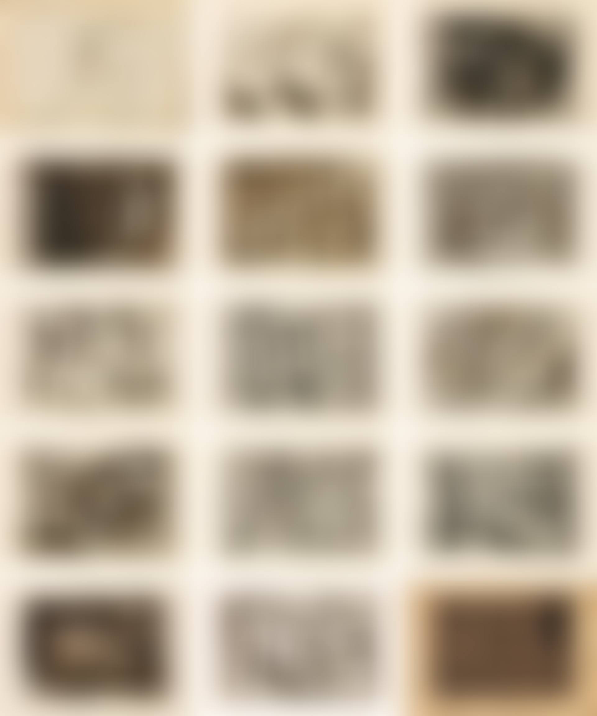 Scenes in Augfeld (preview)