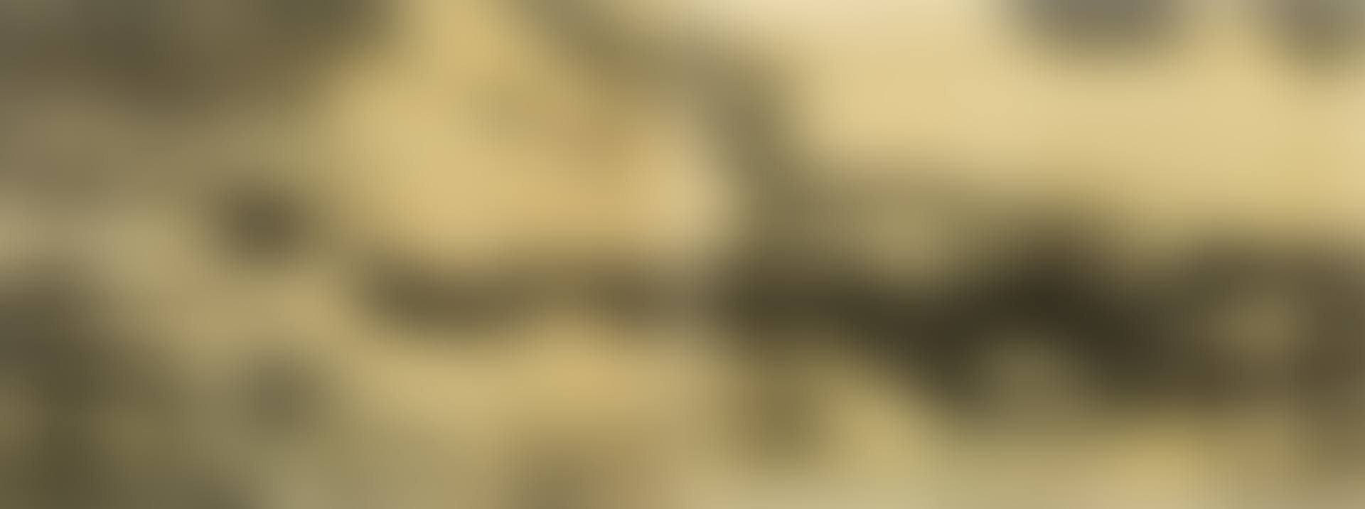 Untitled (diptychon) (preview)