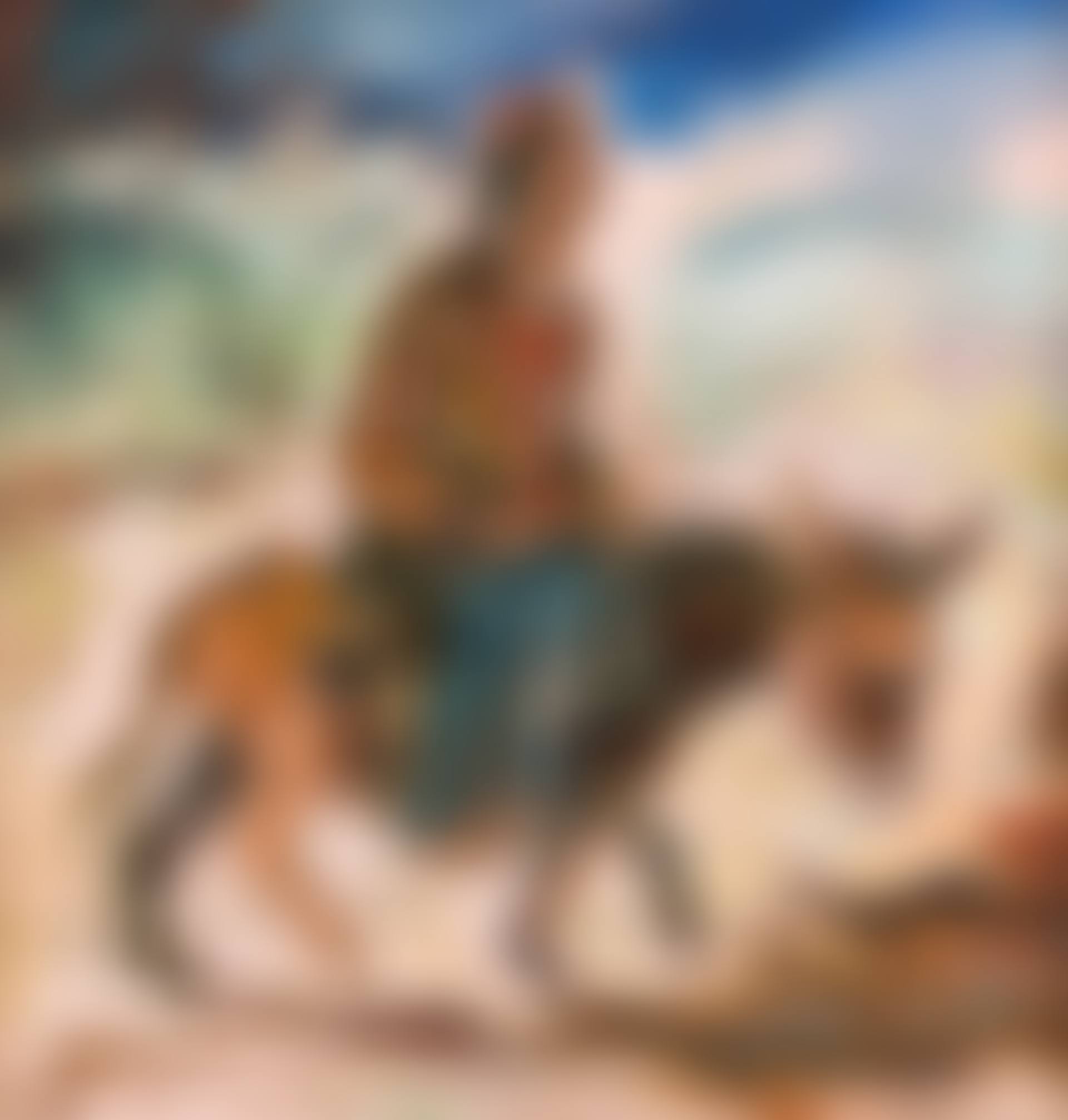 Rider on a donkey in Split (preview)