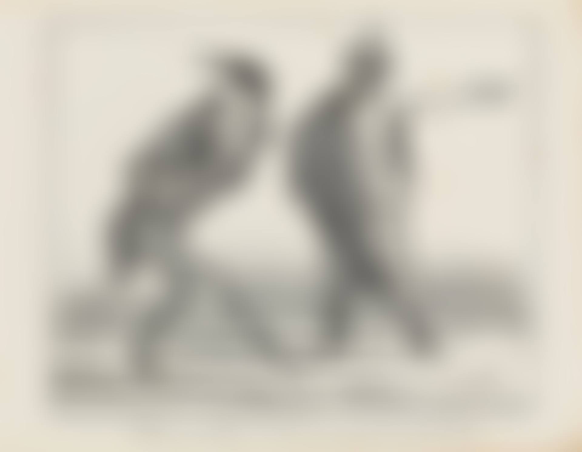 Comme quoi actuellement ..., sheet 35 from Actualités" (preview)