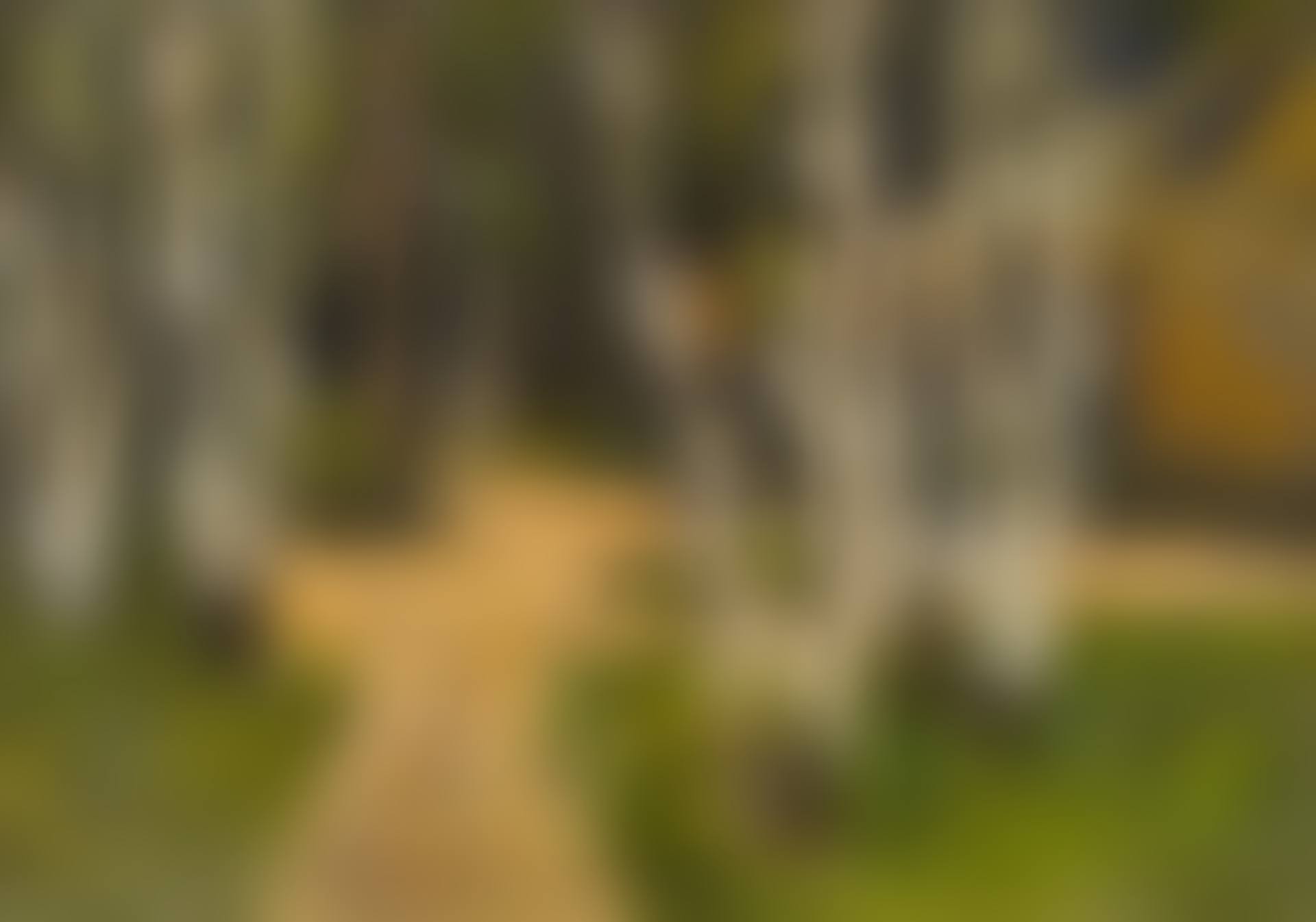 Tree landscape (preview)