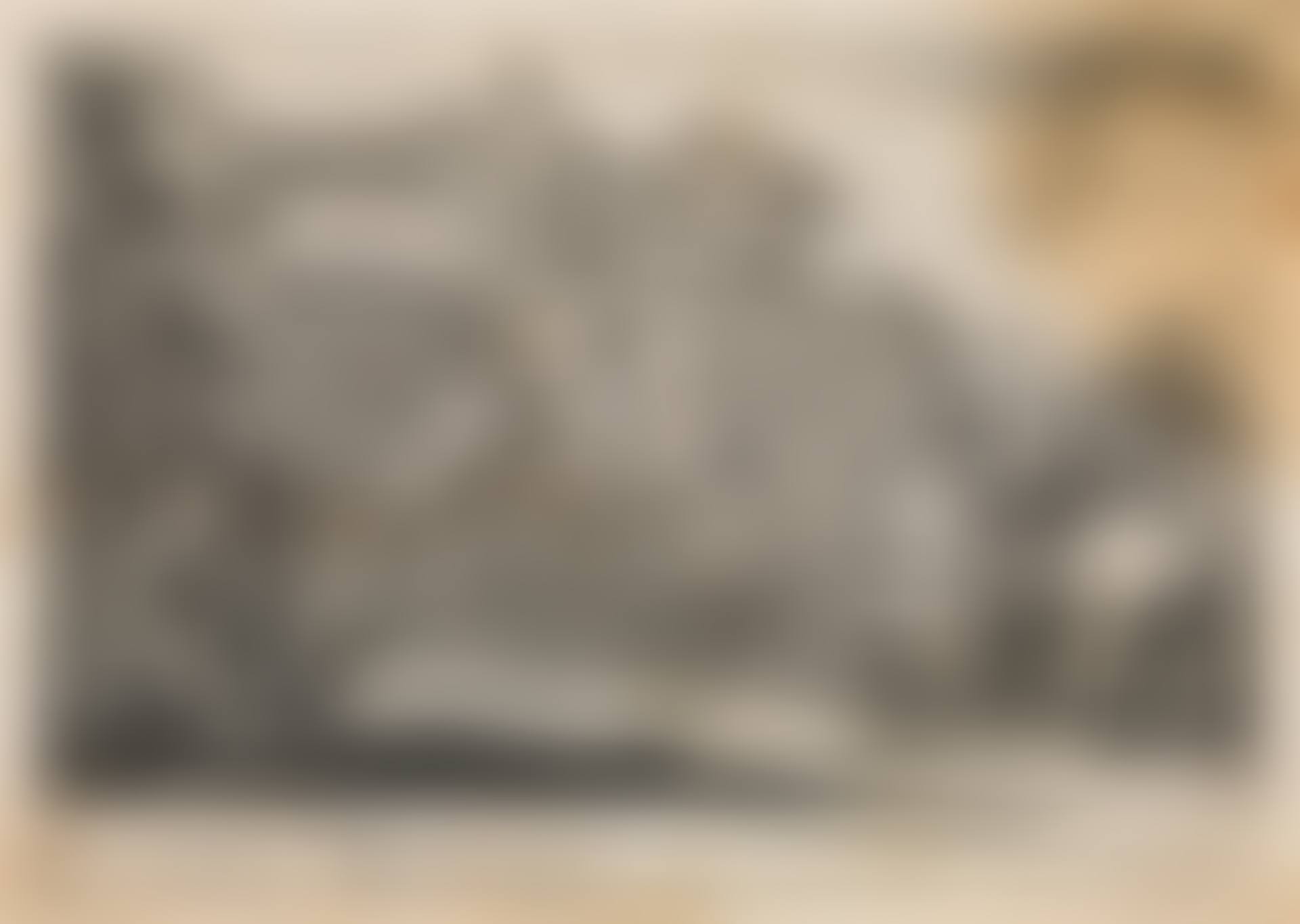 "Neue Reitkunst" (6 Blätter) (preview)