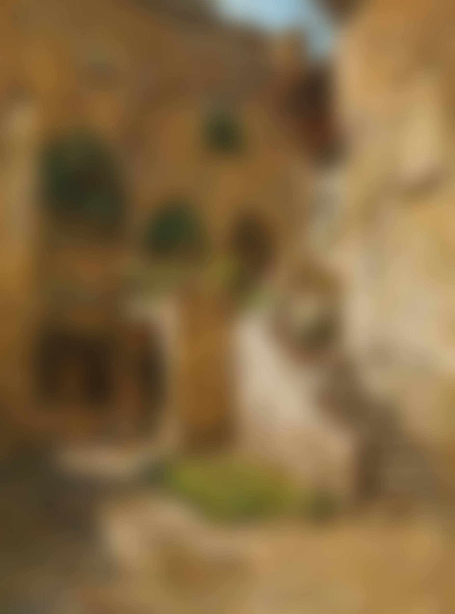 Passauerhof in Stein at the Danube (preview)