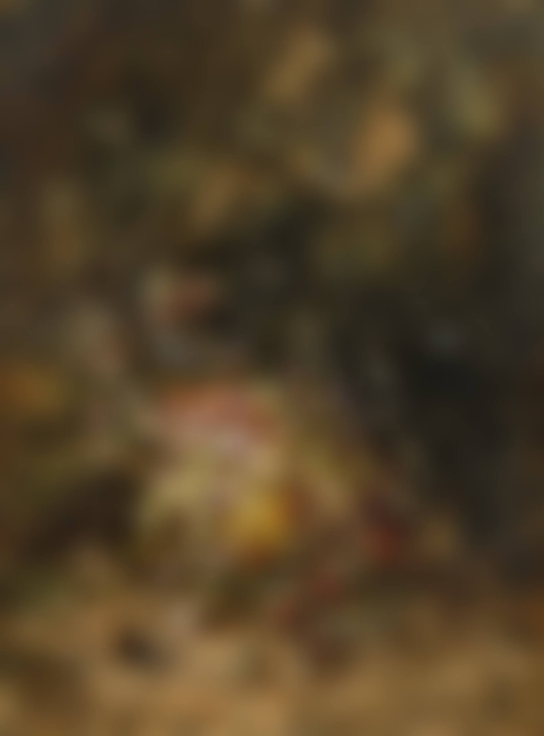 Autumn field flowers (preview)