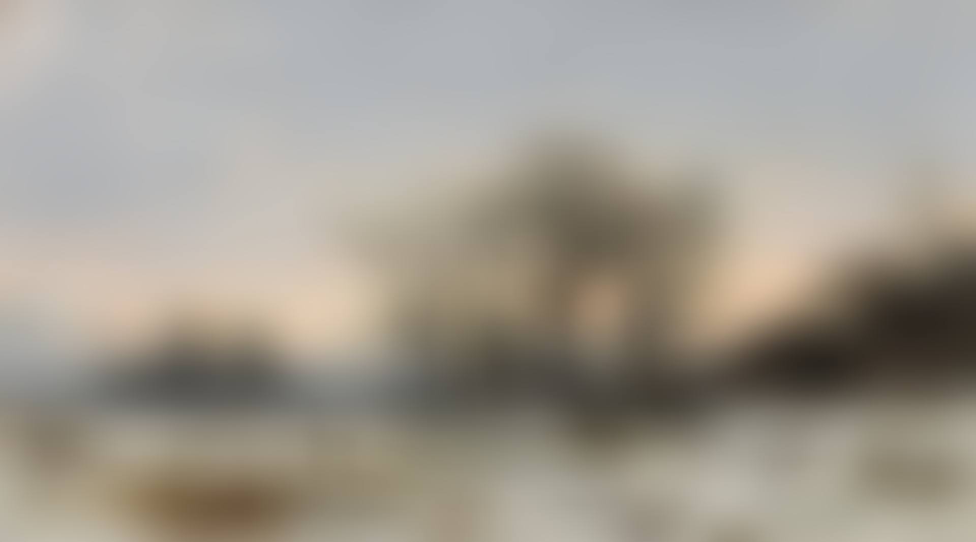 Winter landscape (preview)
