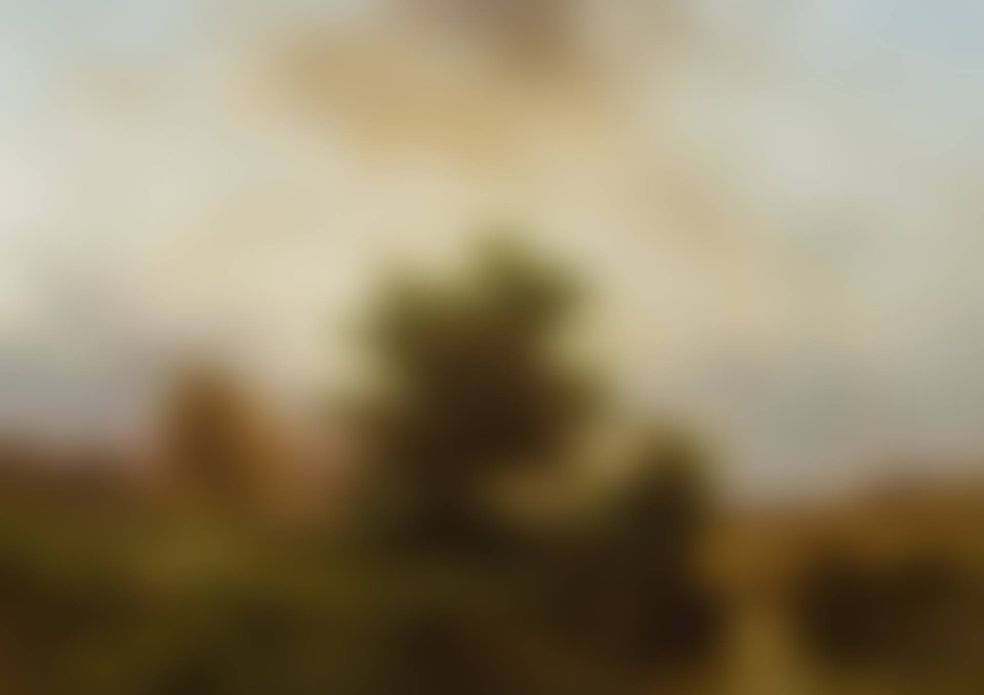 Landscape with a river (preview)