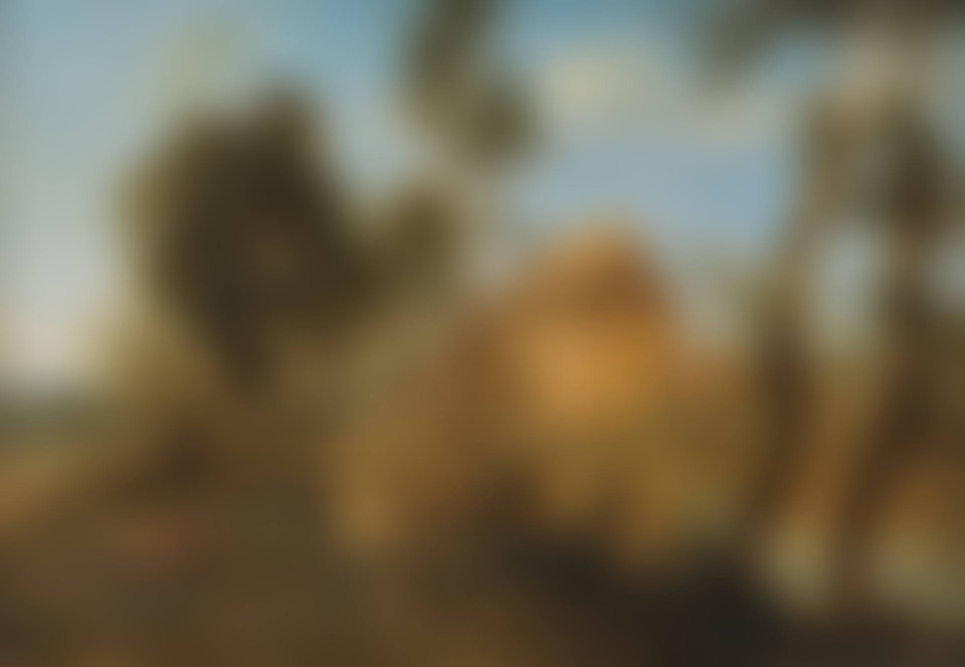 Rural river landscape (preview)