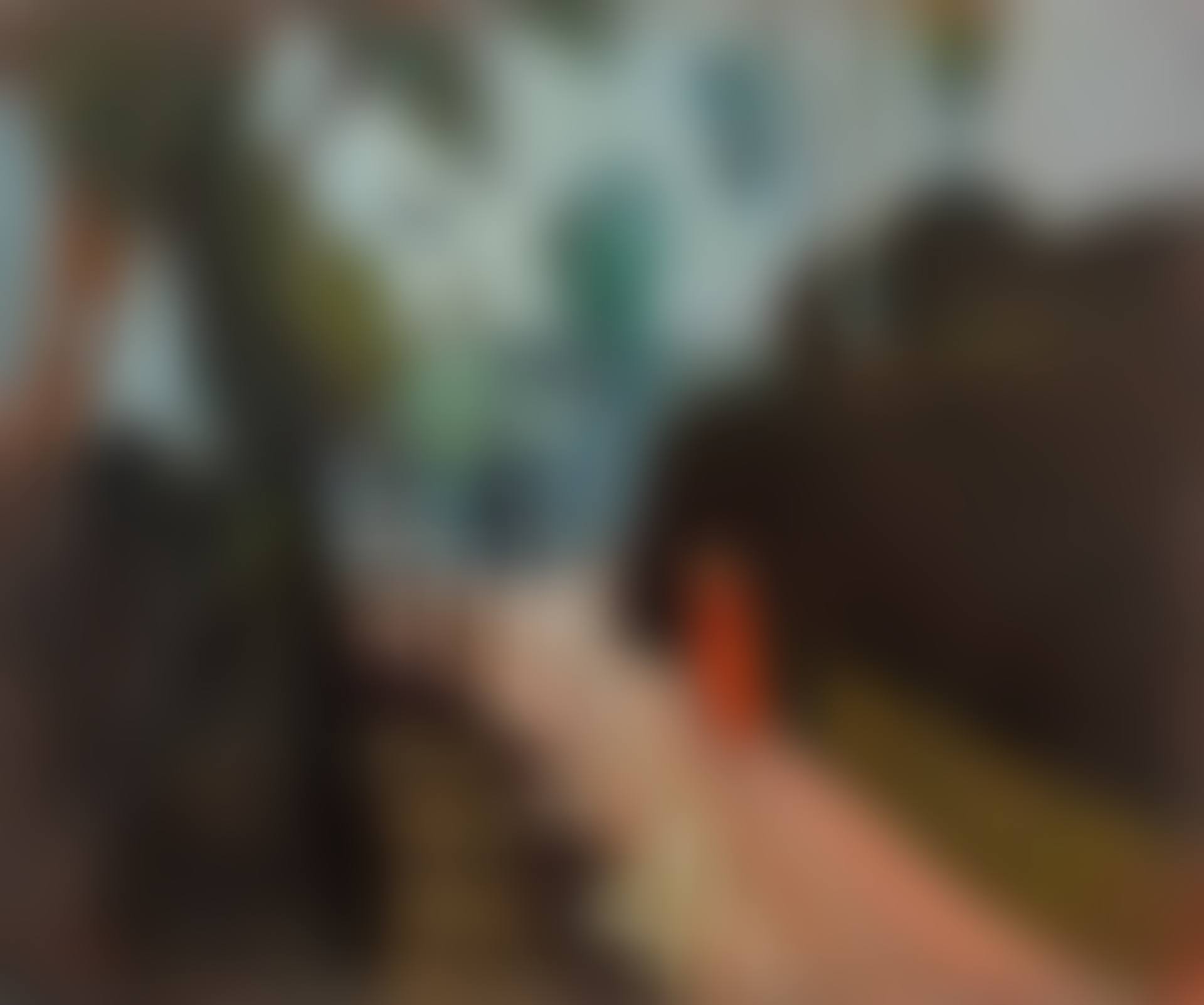 Motive near Karlsbad (preview)
