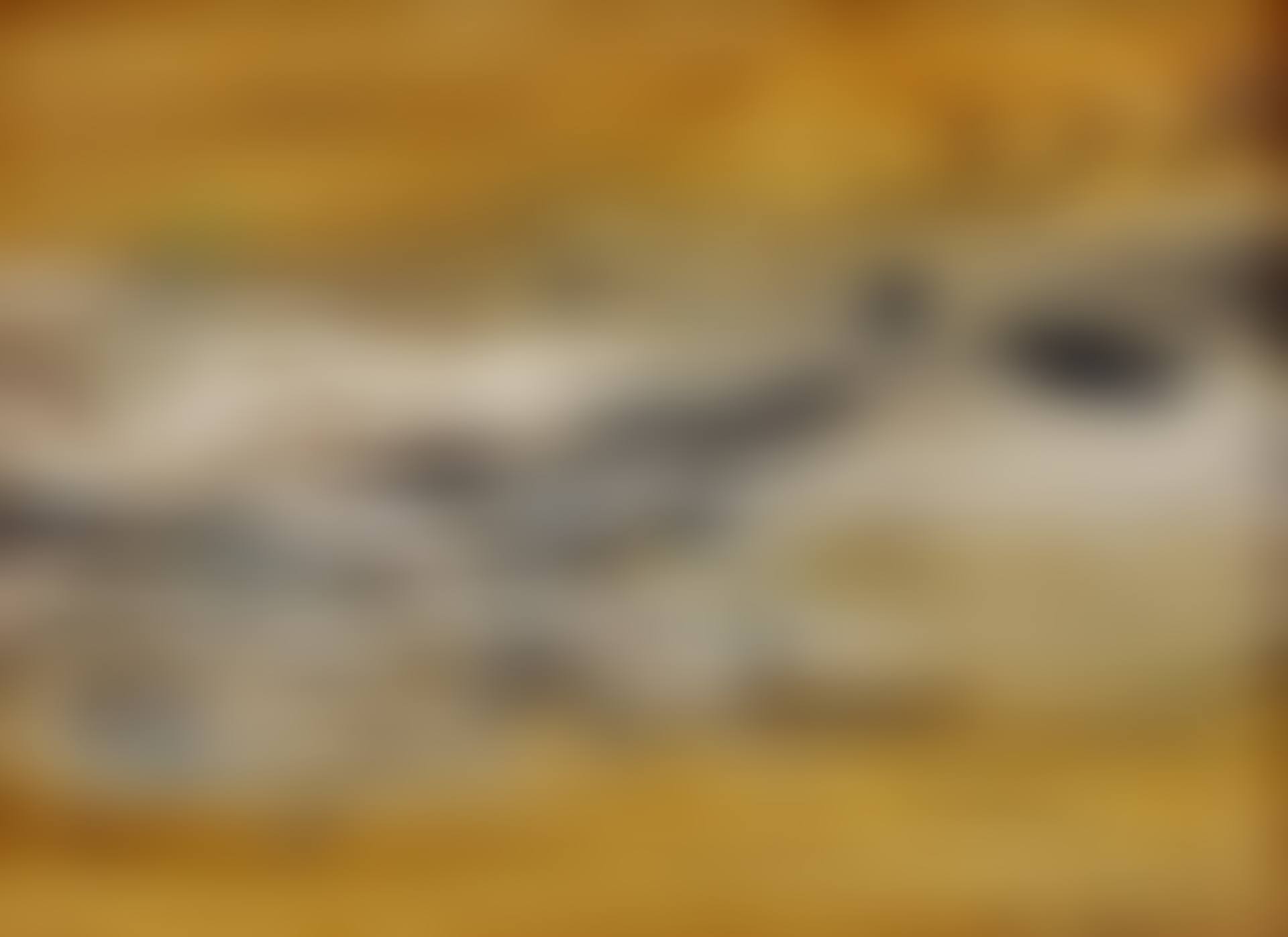 15.3.63. (preview)