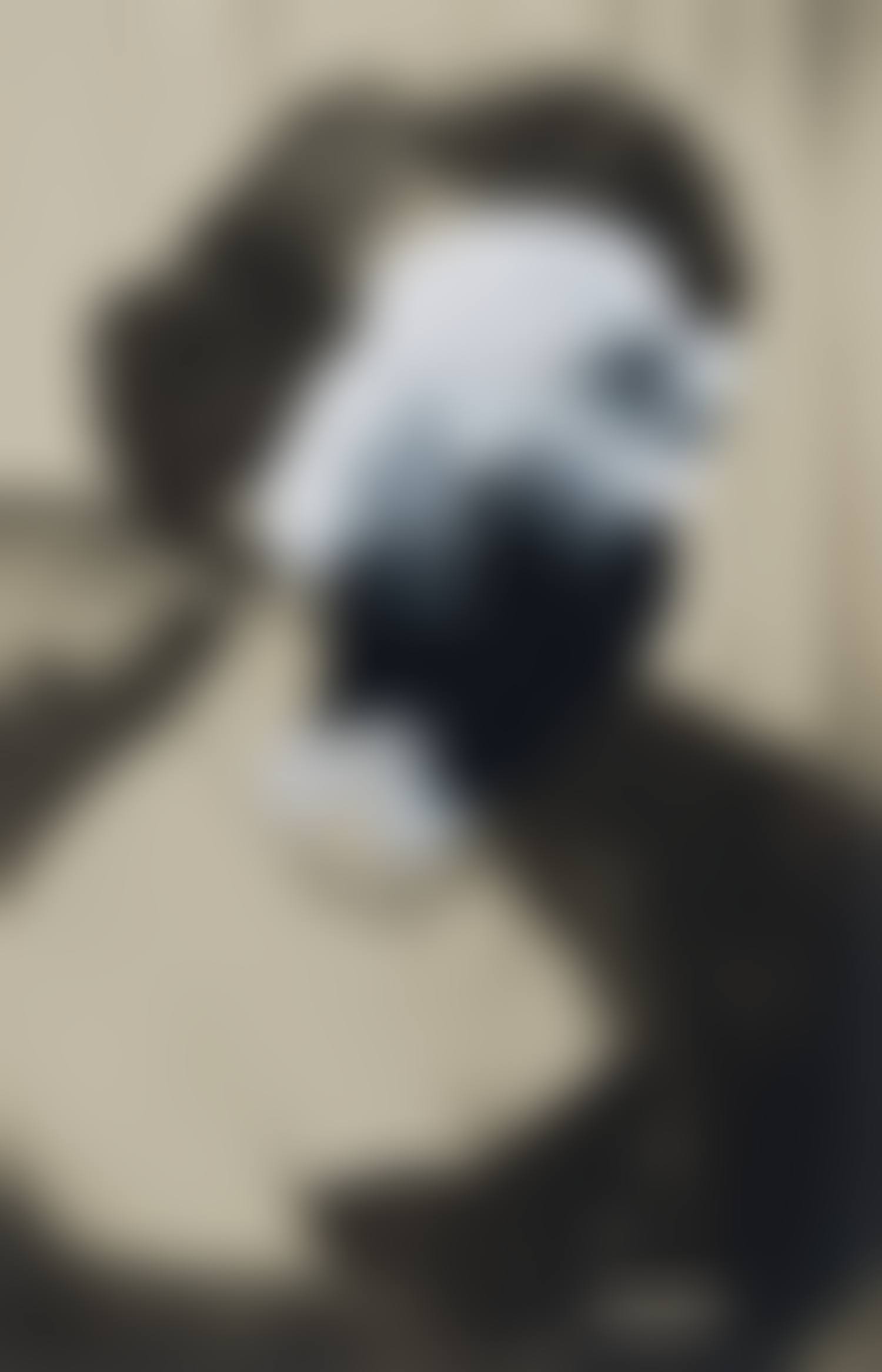 Untitled (preview)