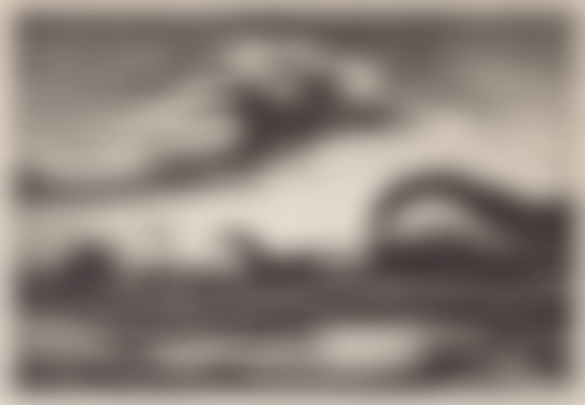 The Race (preview)