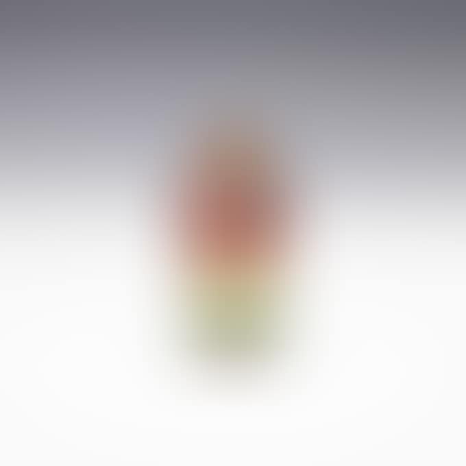 TULIP VASE (preview)
