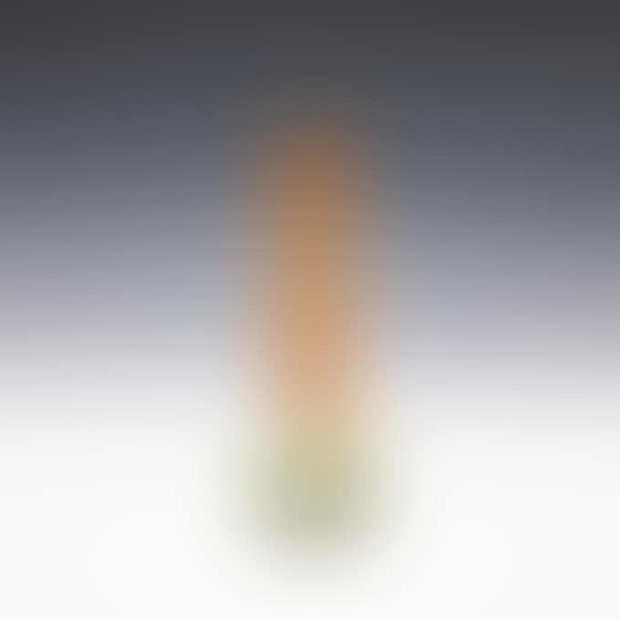 TULIP VASE (preview)