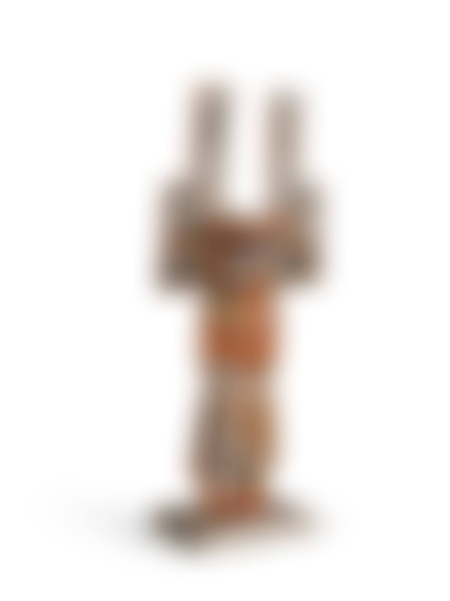 TwoHopi Kachina Dolls depicting Pavatea, Arizona, USA (preview)
