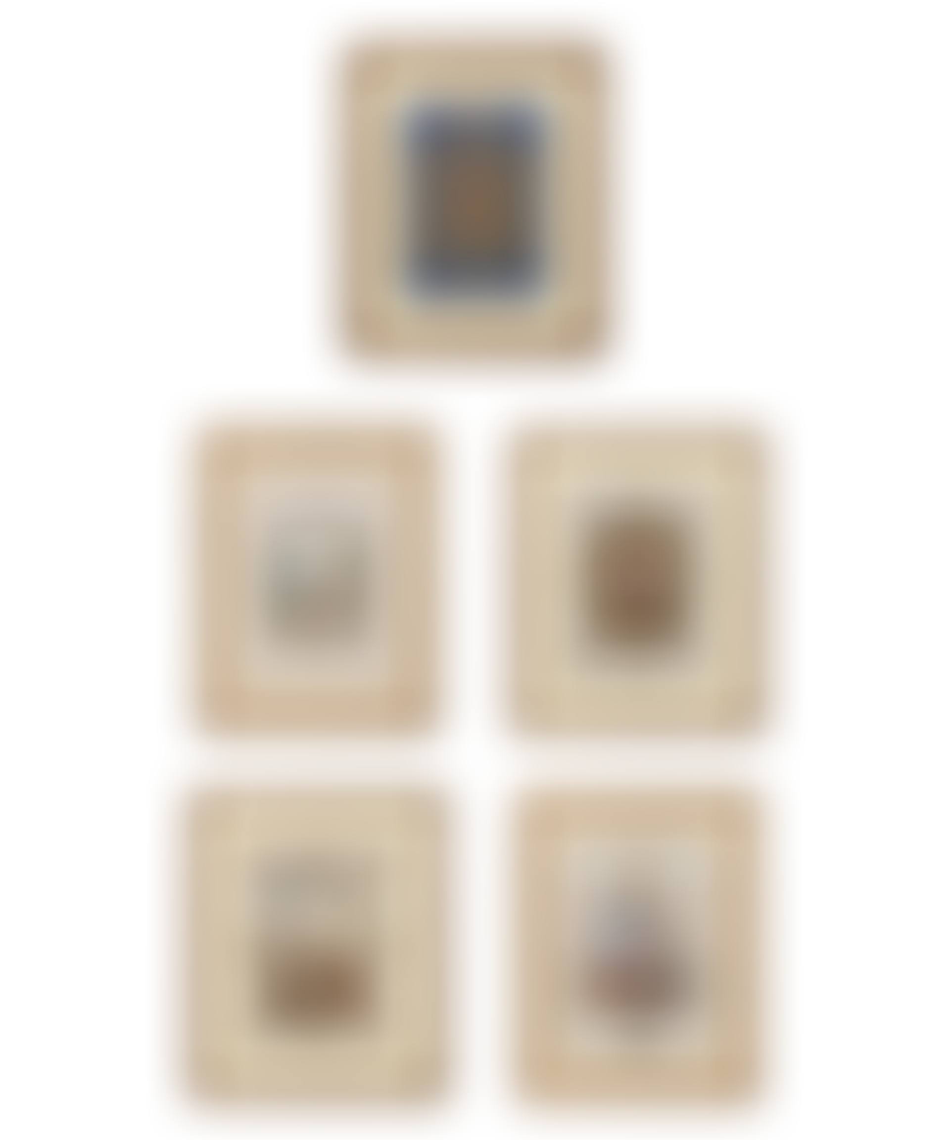 Forty-six sheets from an album of Princess Maria Amalia of Bourbon (preview)