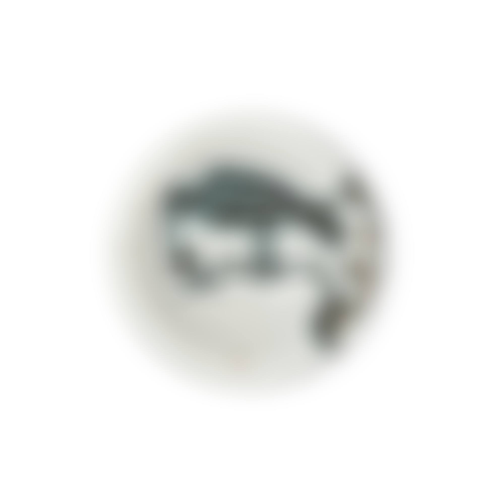 Oiseau sur la branche (A. R. 175) (preview)