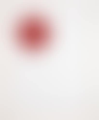 JEAN-PIERRE RAYNAUD; RED CROSS (preview)