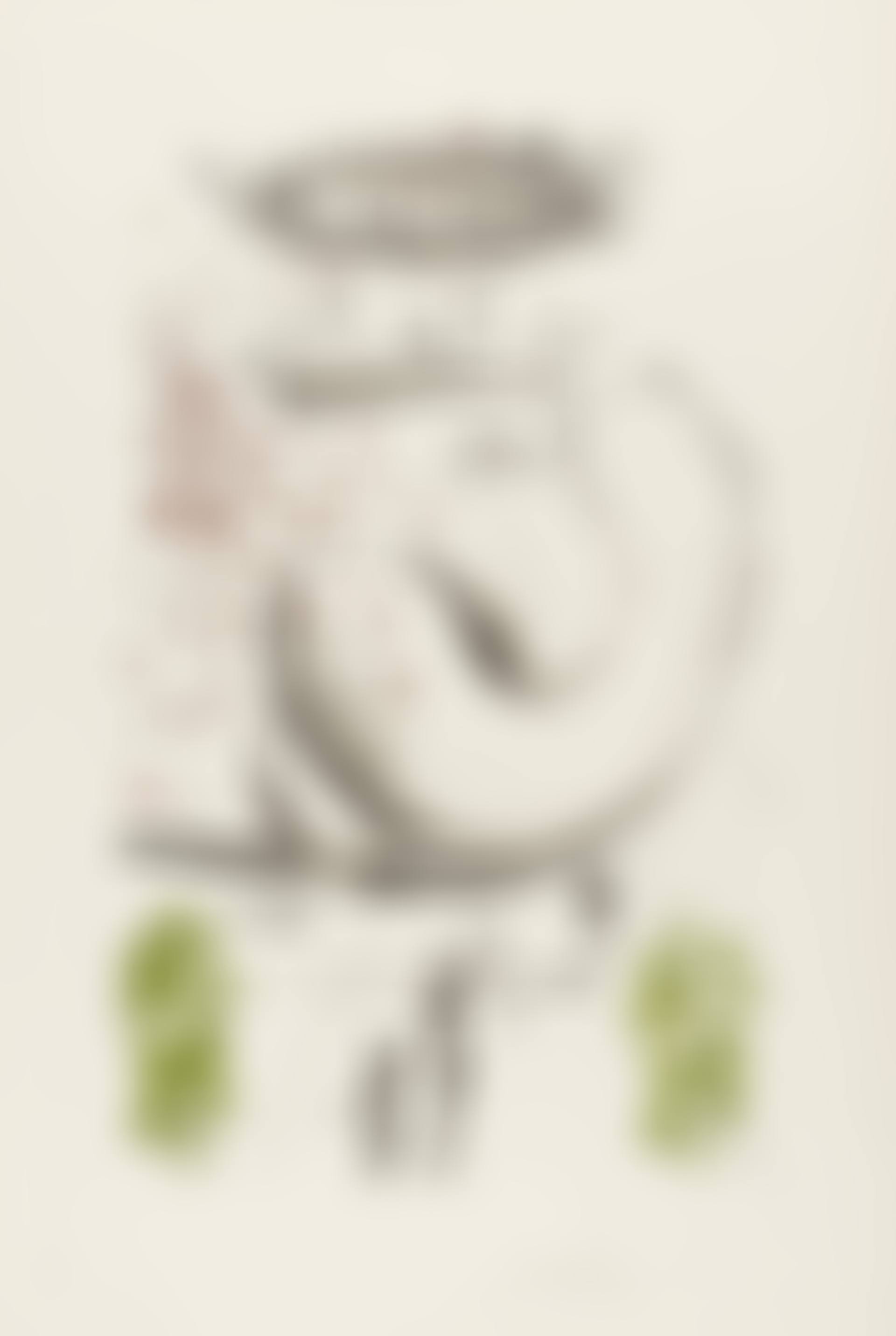 Moscas, from Colibri (Field 73-5 B) (preview)
