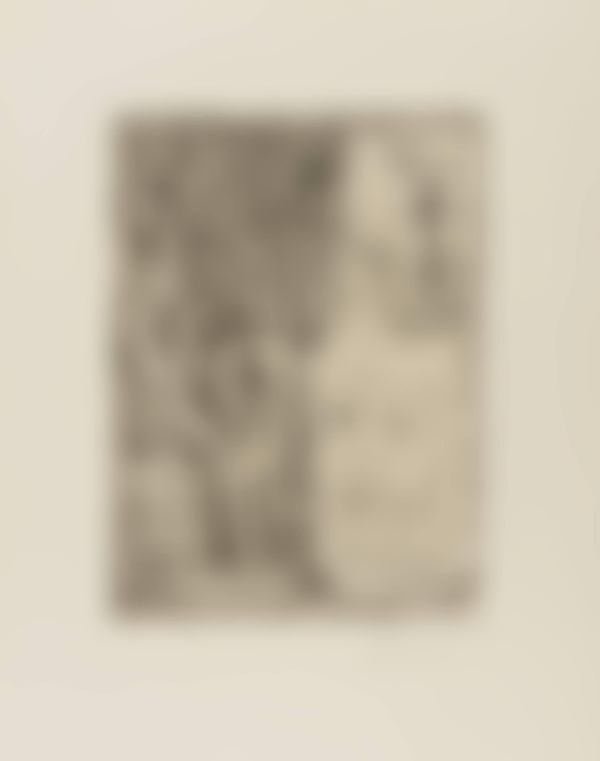 Sculptures et Vase de Fleurs, from La Suite Vollard (Bloch 189; Baer 348) (preview)