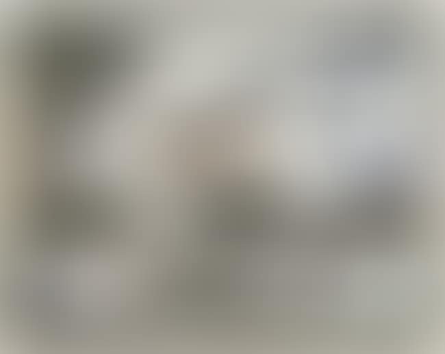 Kent State (Lullin 77) (preview)