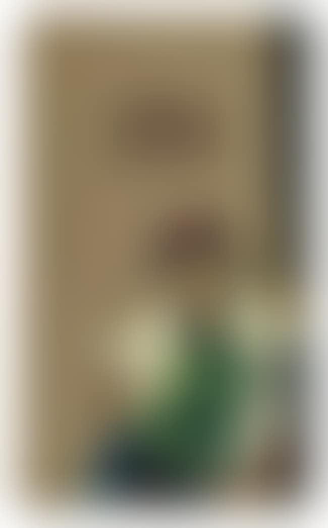 I Never Let The Truth Get in The Way of a Good Story (preview)