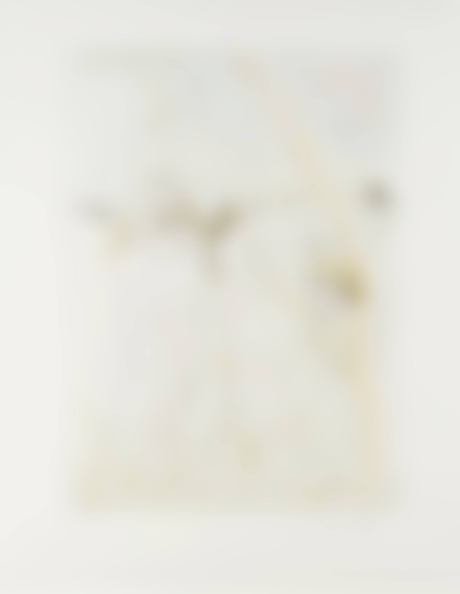 Le Jugement de Paris, from Hommage à Albrect Durer (Field 71-8 F; see M&L 485) (preview)