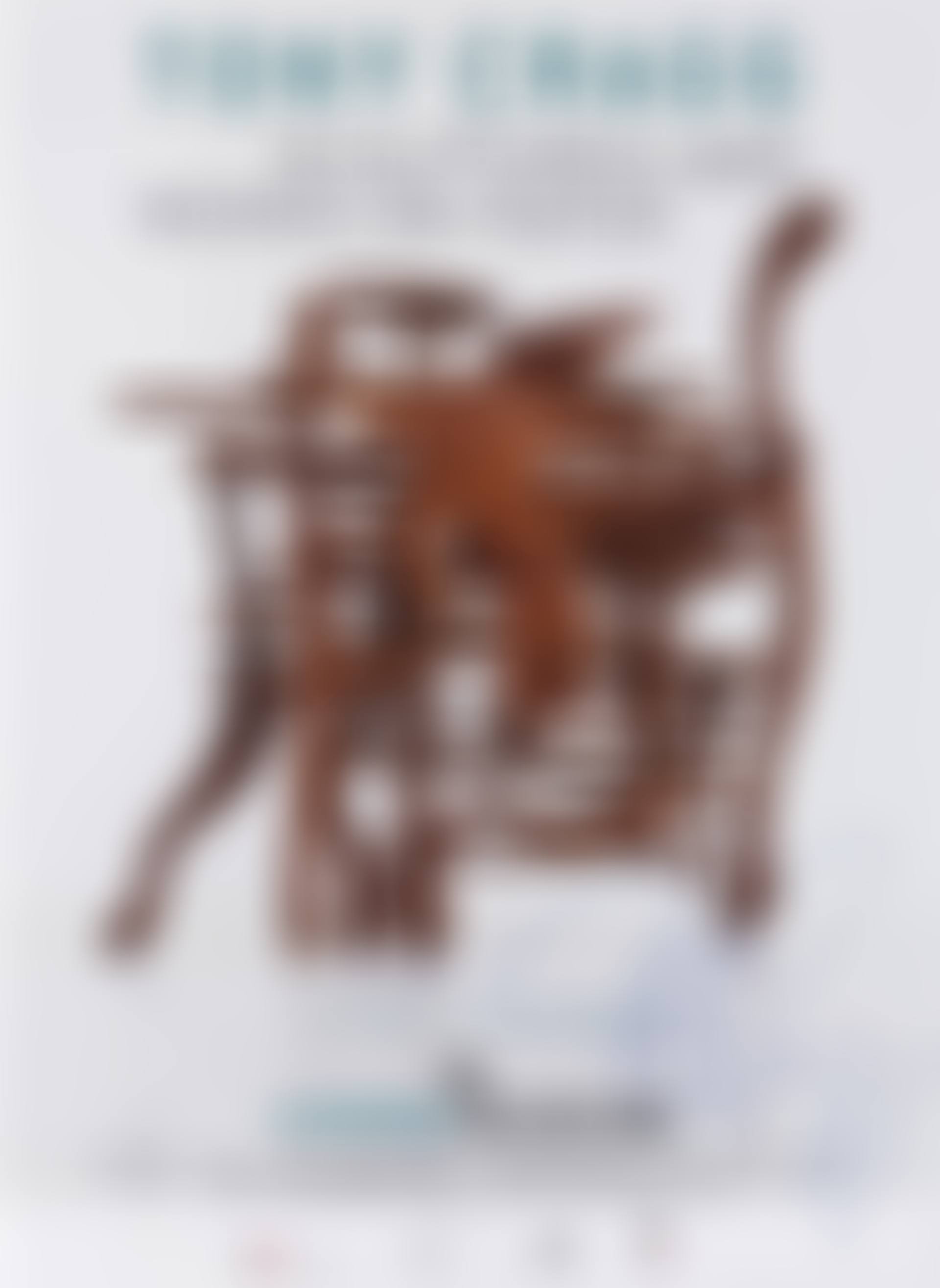 Tony Cragg Sculptures and Works on Paper (preview)