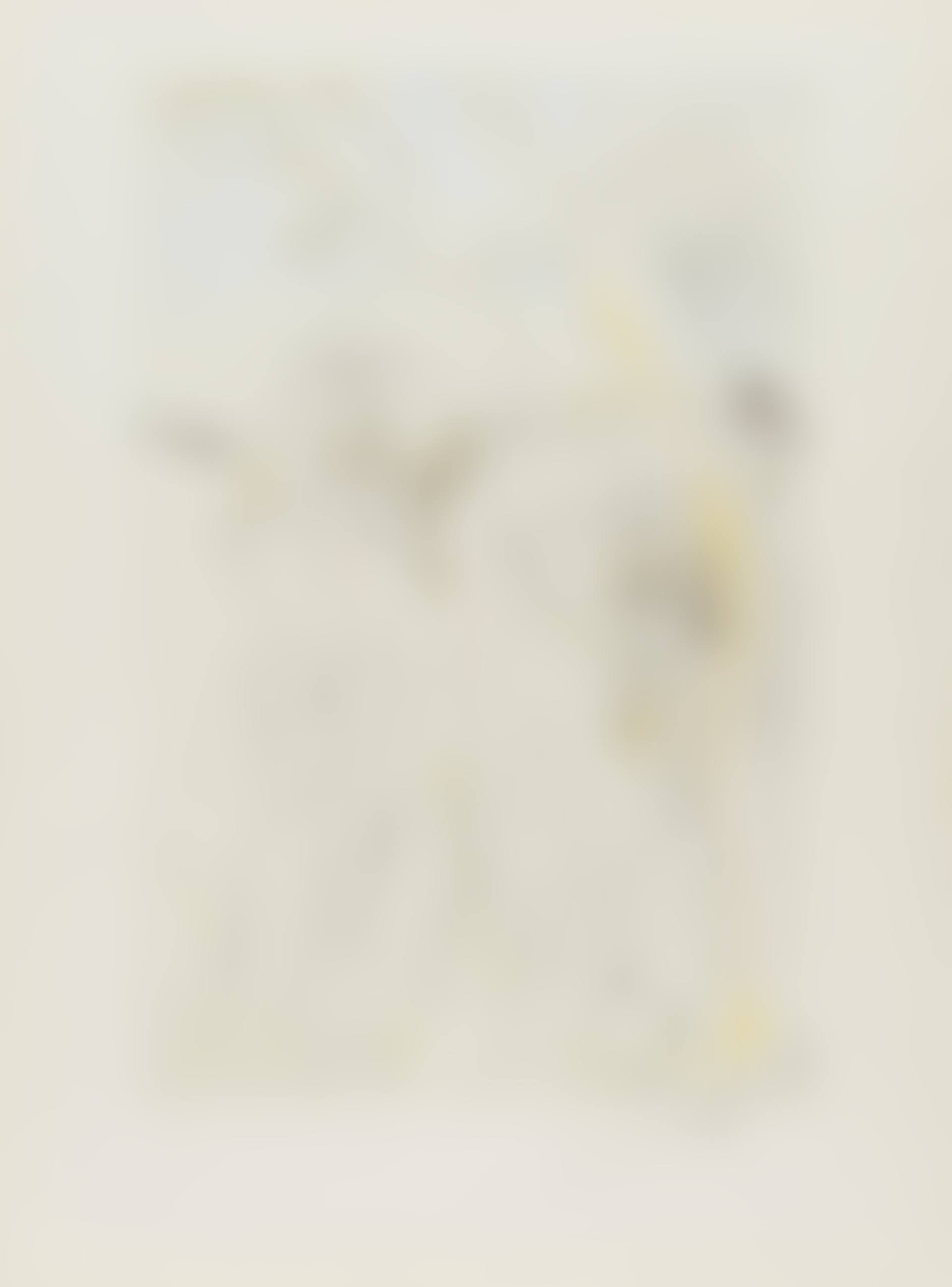 Le Jugement de Paris, from Hommage à Albrect Durer (Field 71-8-F; see M&L 485) (preview)