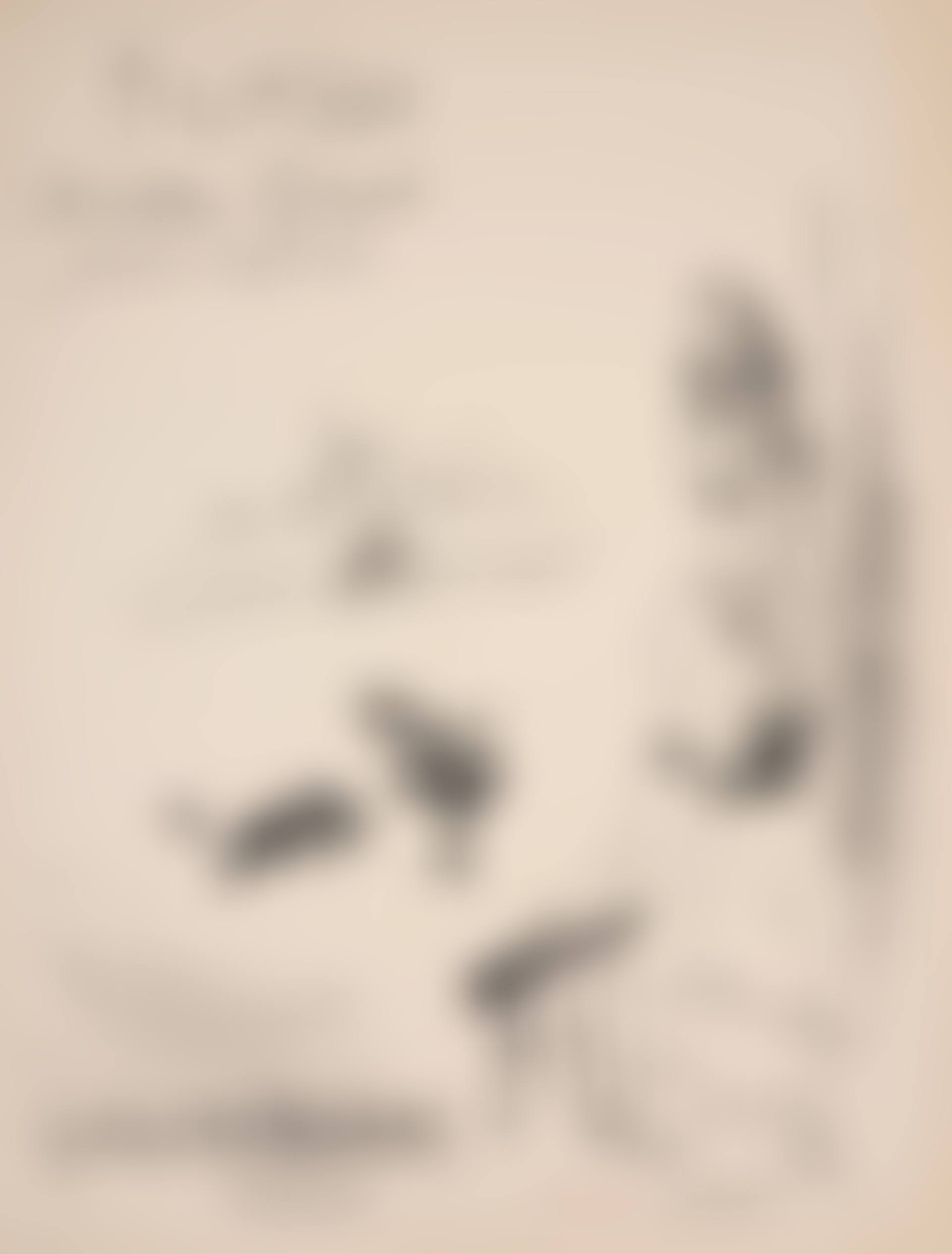 Femme au Balcon (Bloch 1289; Mourlot 335) (preview)