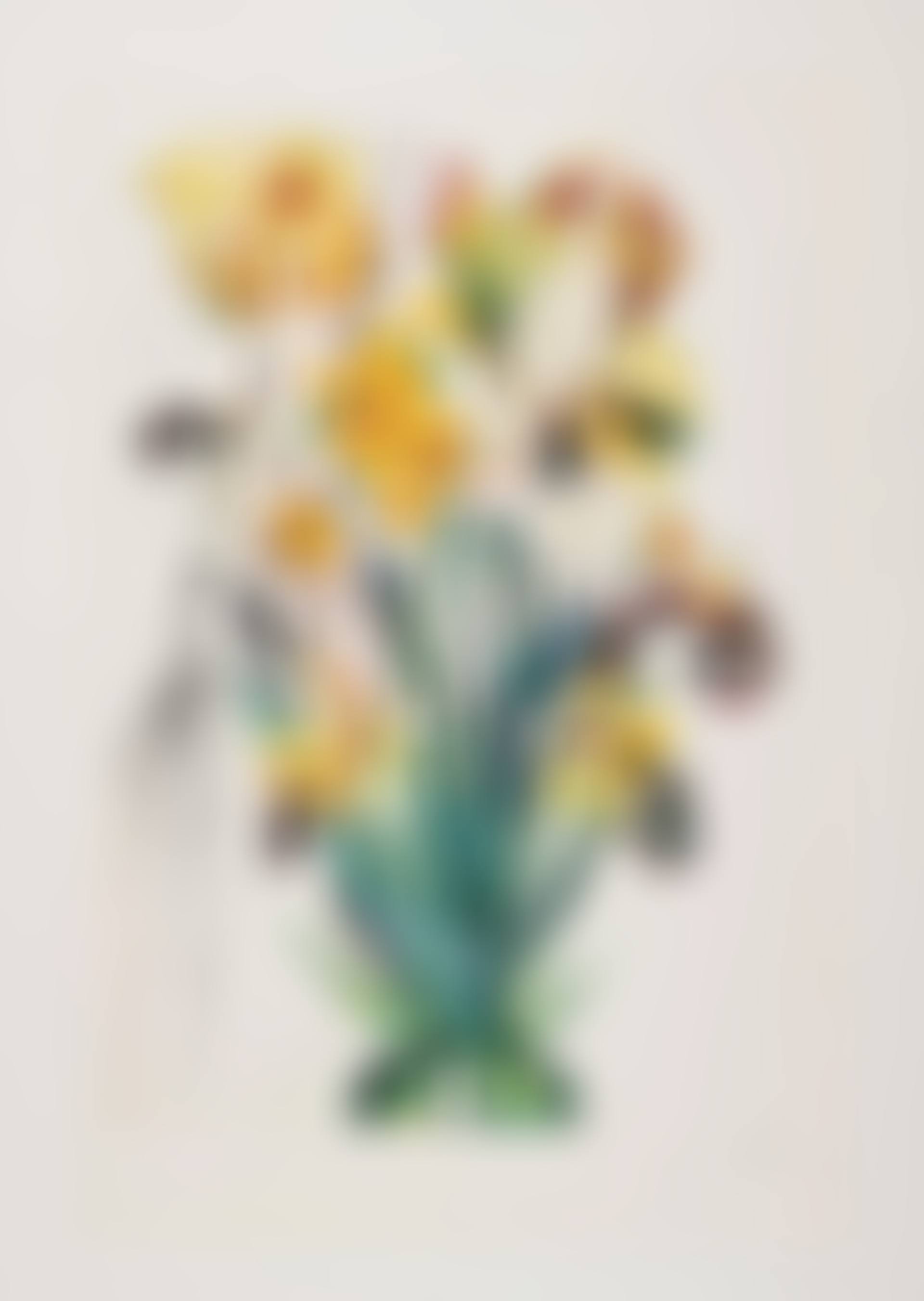 Narcissus telephonans inondis, from Surrealistic Flowers (Field 72-7J; M&L 549) (preview)
