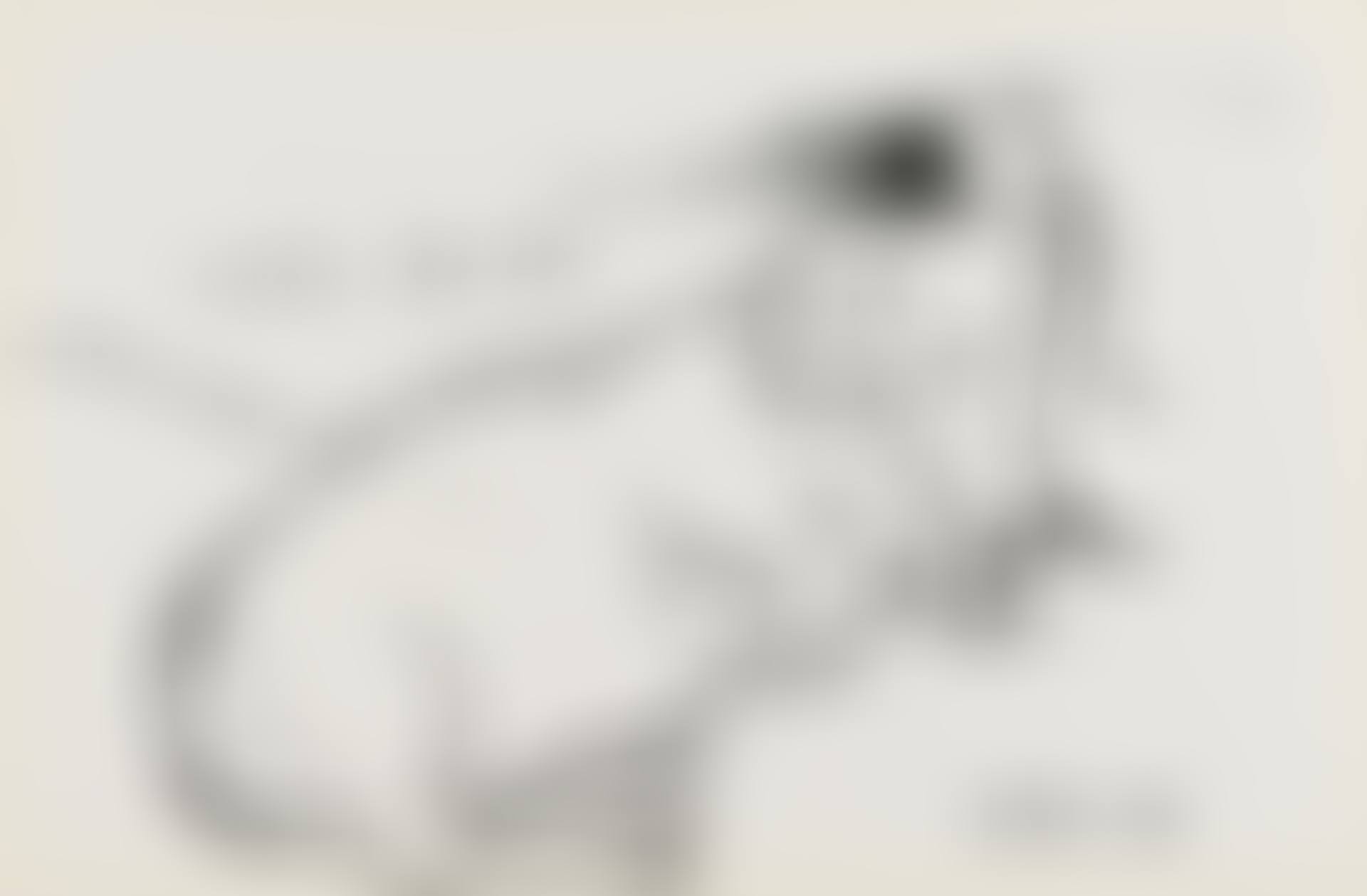 Little Boodge (preview)