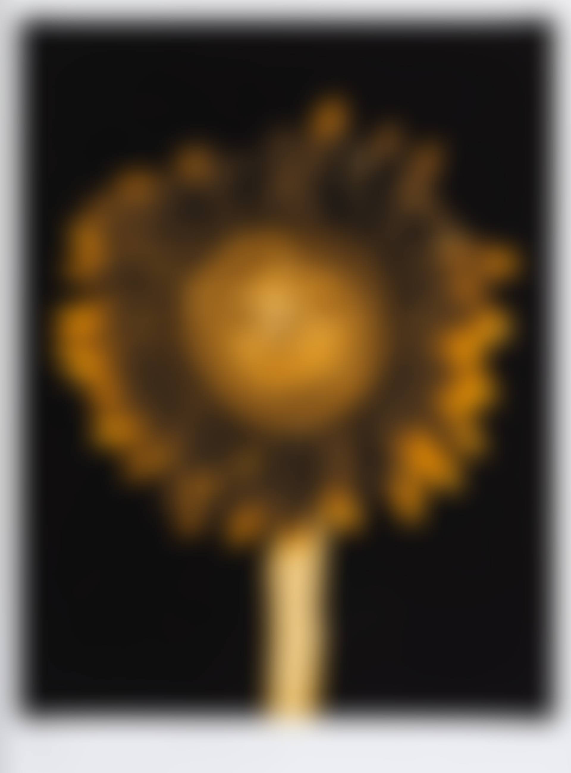 Untitled (Sunflower) (preview)