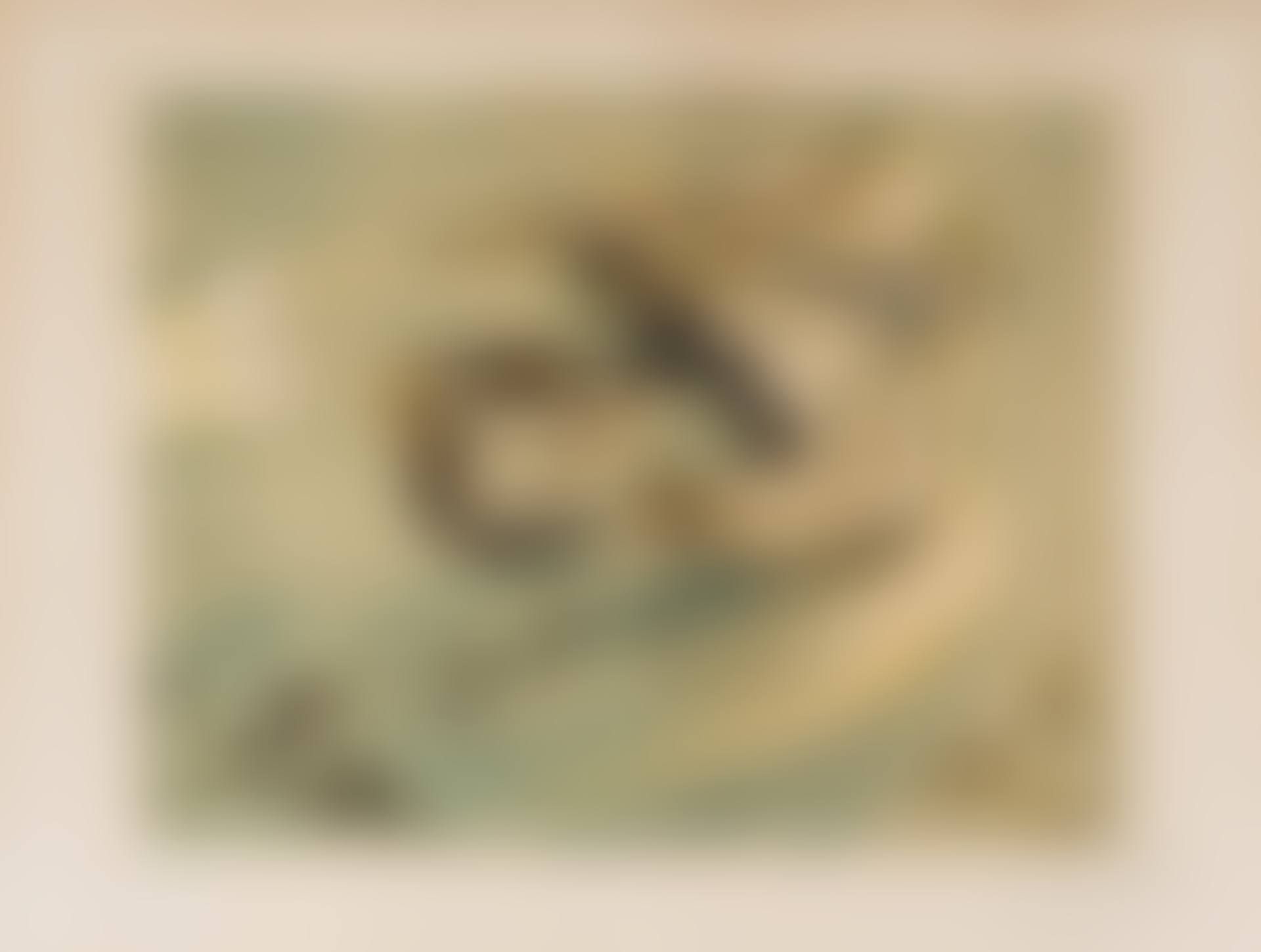 Anamorphose de Lincoln (Not in M&L or F) (preview)