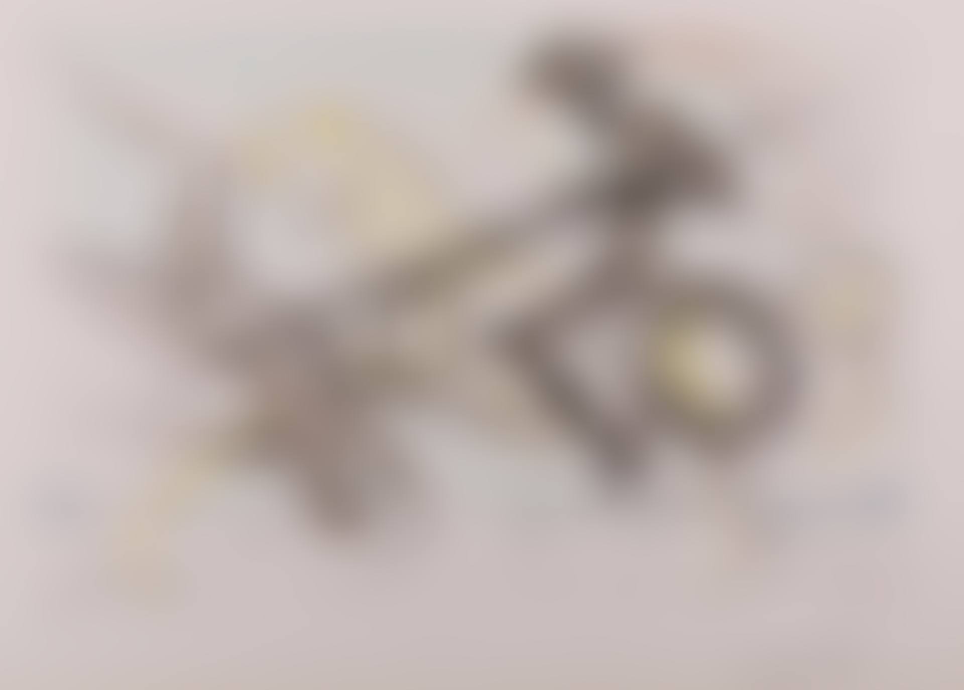 The Black Knight (Field 74-13) (preview)