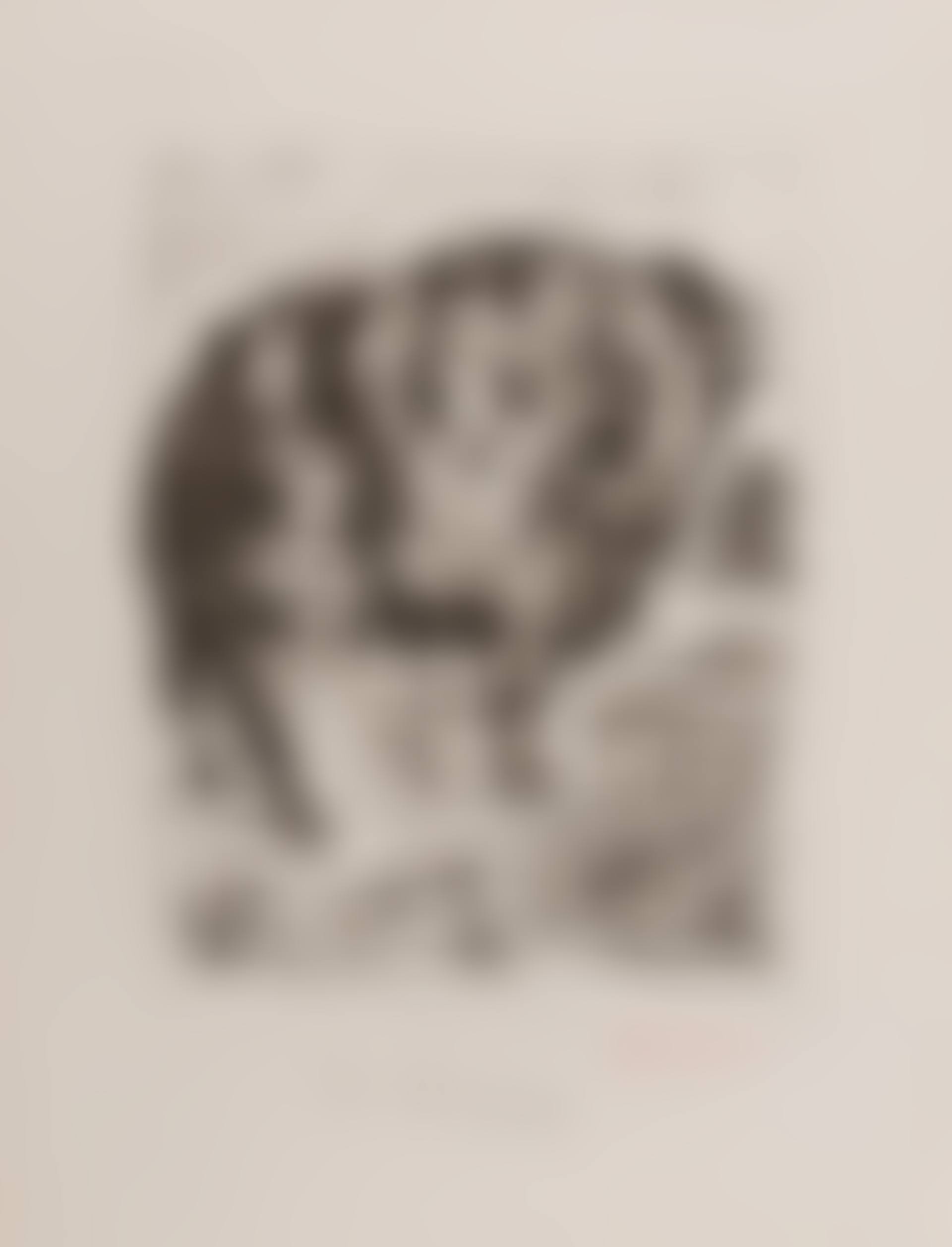 Le Bellier (Blcoh 349, Baer 579 II A/C) (preview)