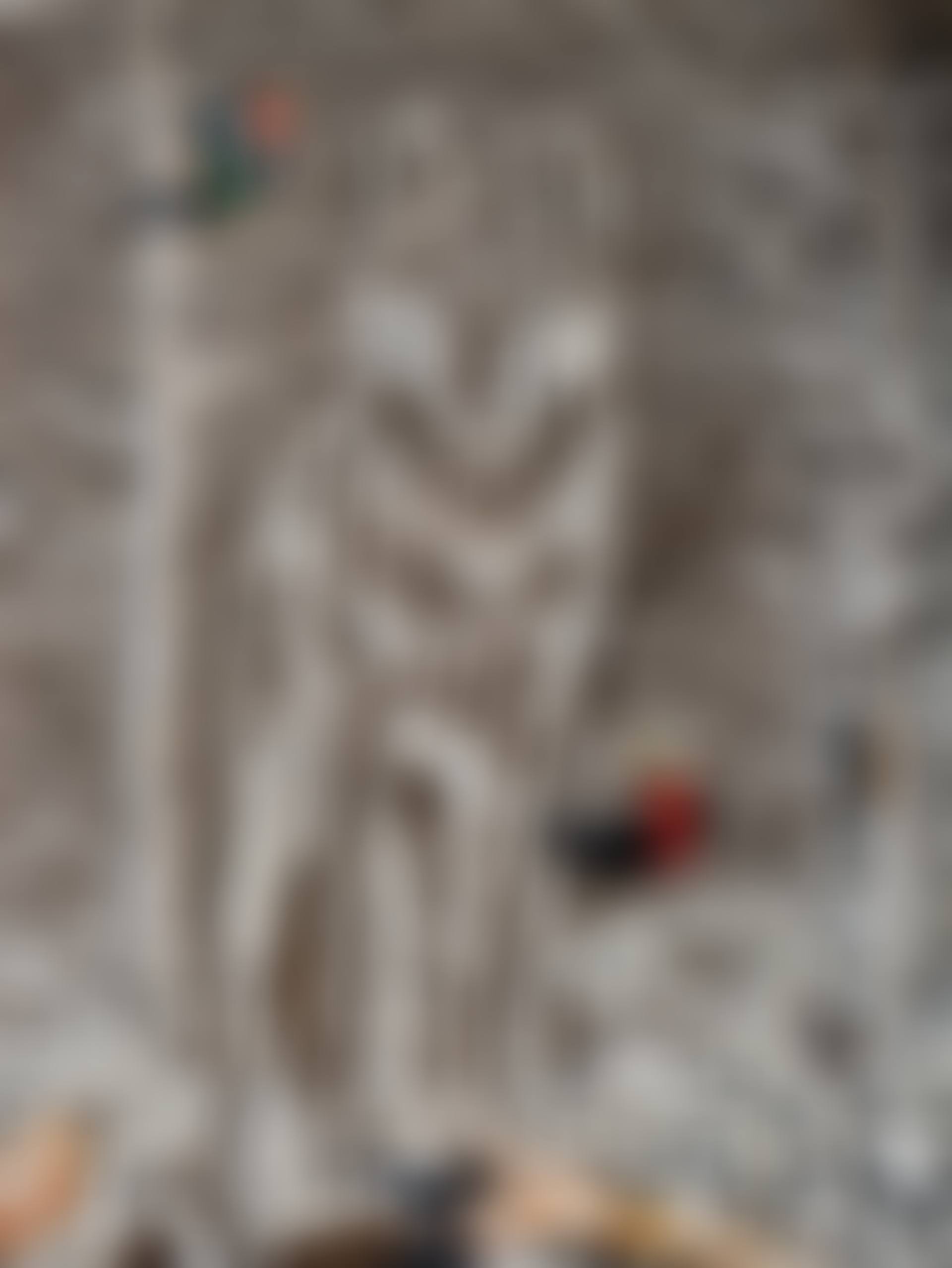 Wolf (preview)