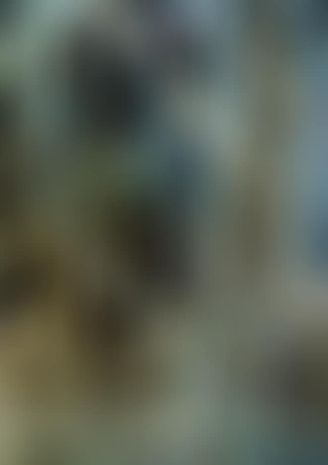 Untitled (preview)