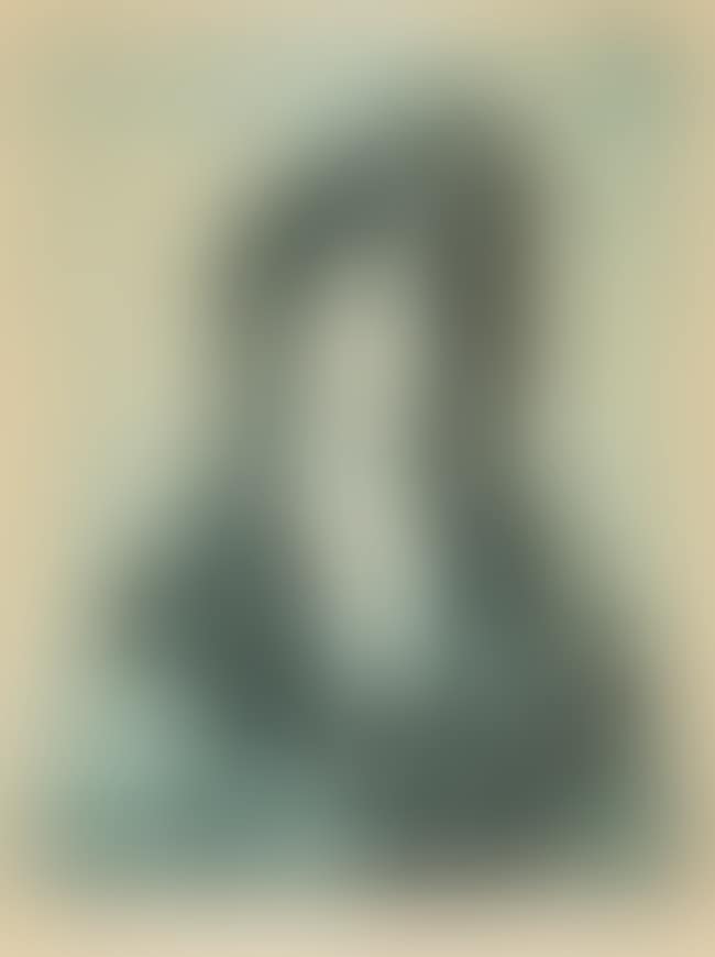 Madame Ricardo Canals (Czwiklitzer 232) (preview)
