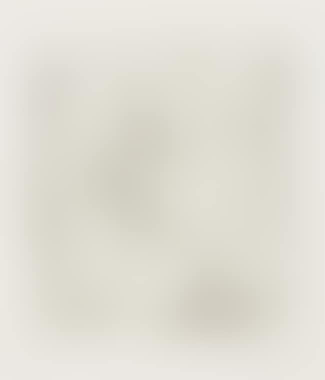 Untitled (from The Valley Suite) (see Littmann p.136-141) (preview)