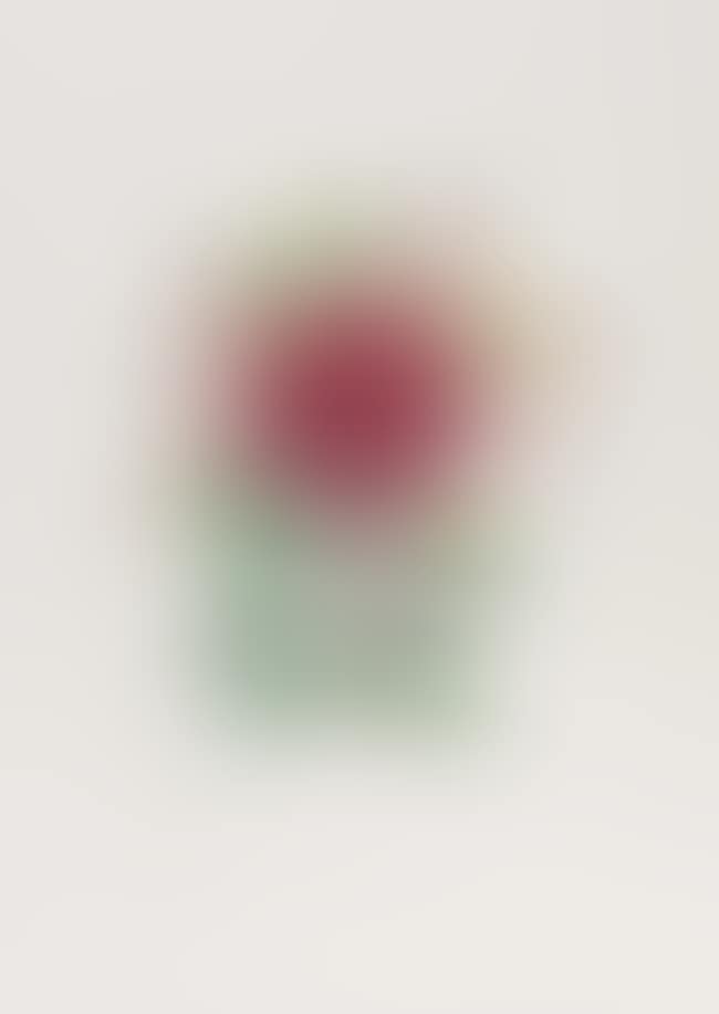 Dahlia Rapax (from Surrealistic Flowers) (Field 72-7-H; M&L538) (preview)