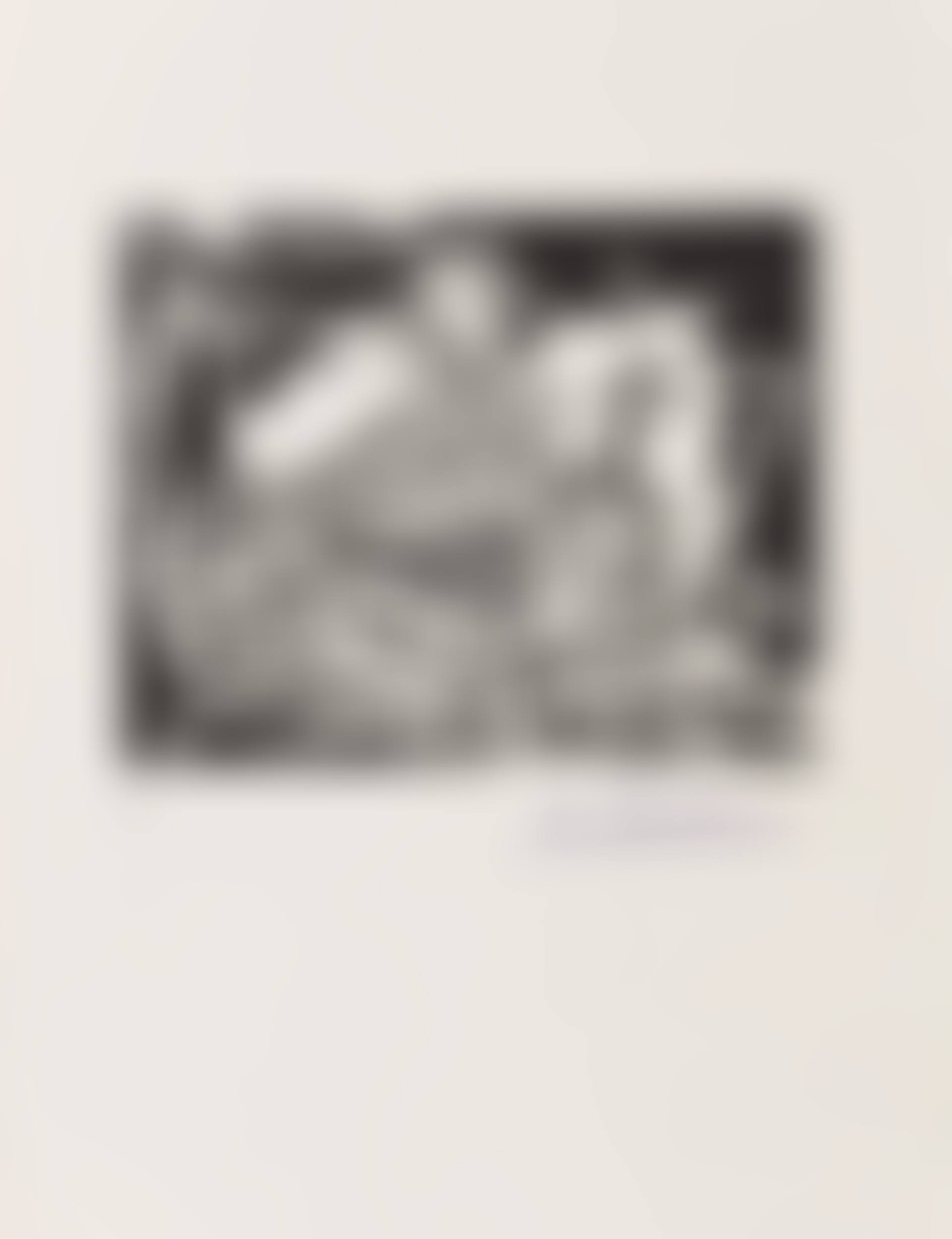 Pigeonneau (Bloch 326, Cramer 84) (preview)