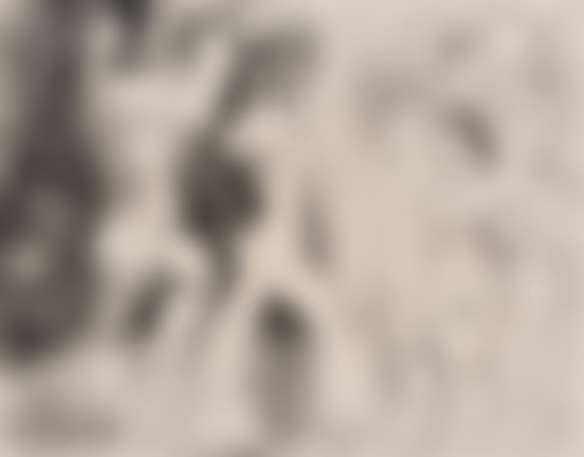 La Répétition (Bloch 756, Mourlot 252) (preview)