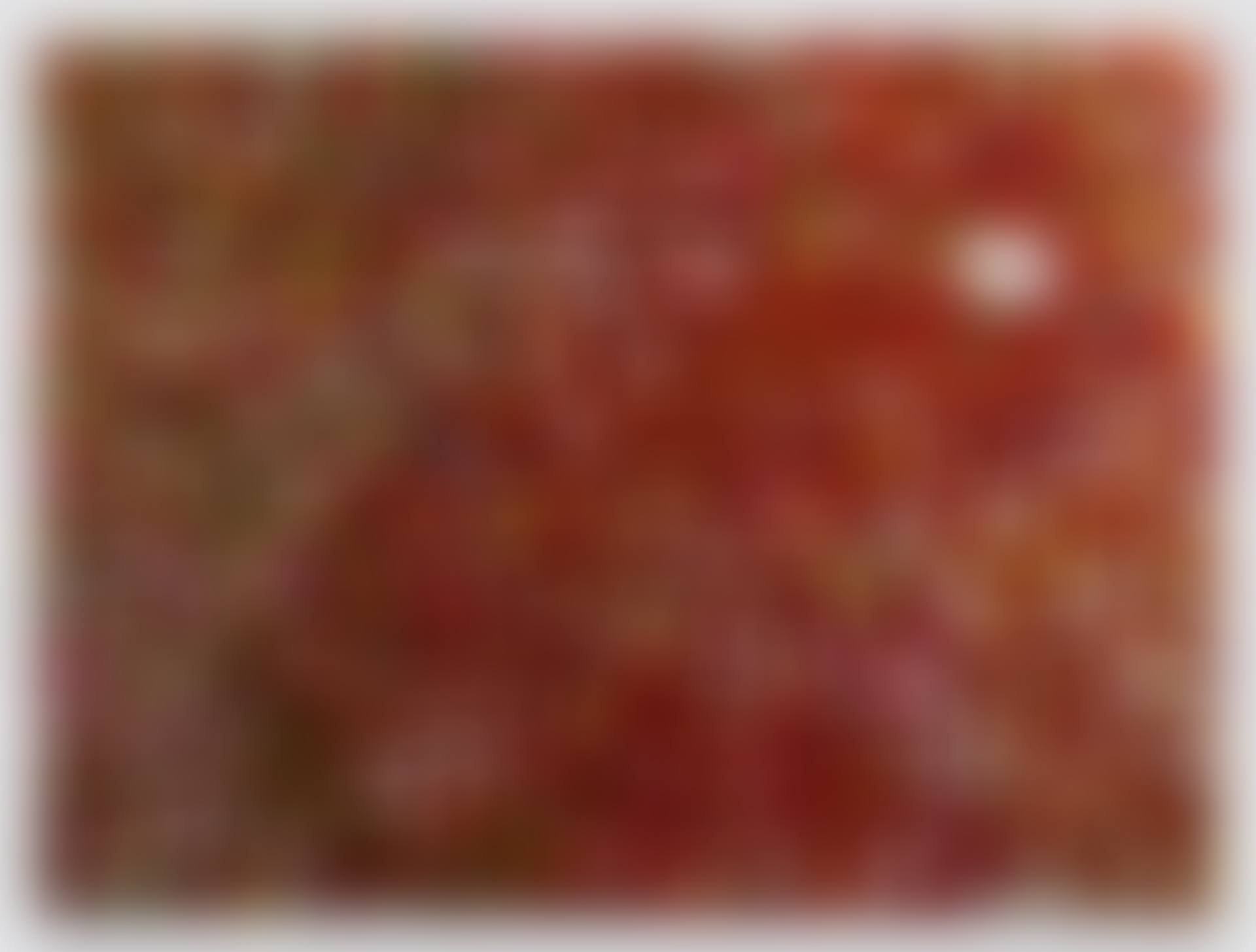 H4-7. Ryoanji (preview)