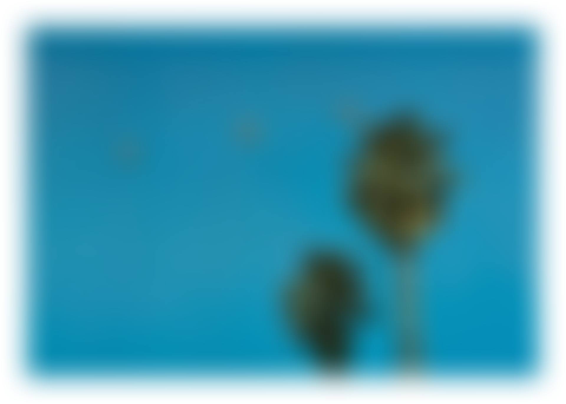 Throwing Three Balls in the Air to Get a Straight Line (Best of Thirty-Six Attempts) (preview)