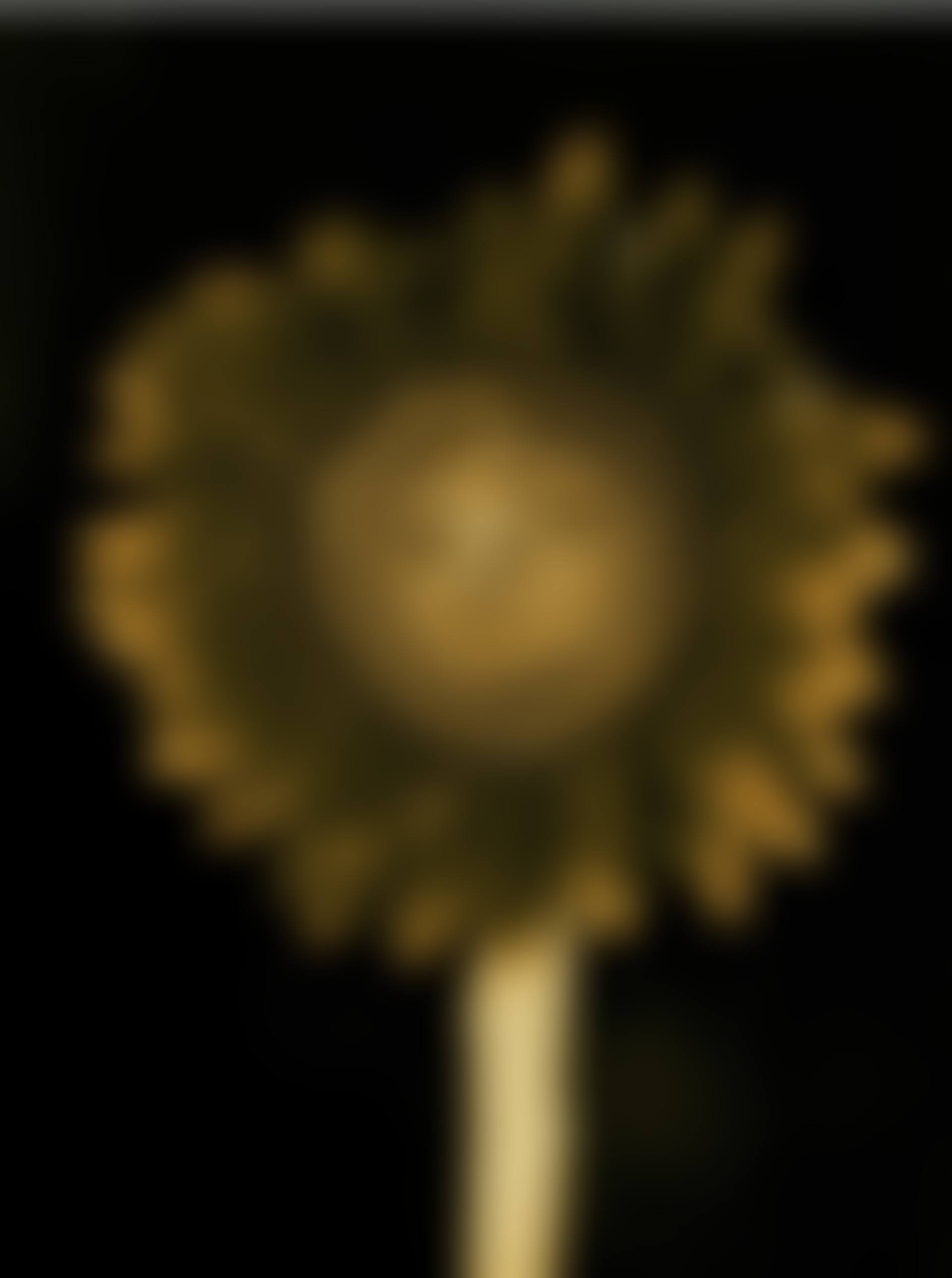 Untitled (Sunflower) (preview)