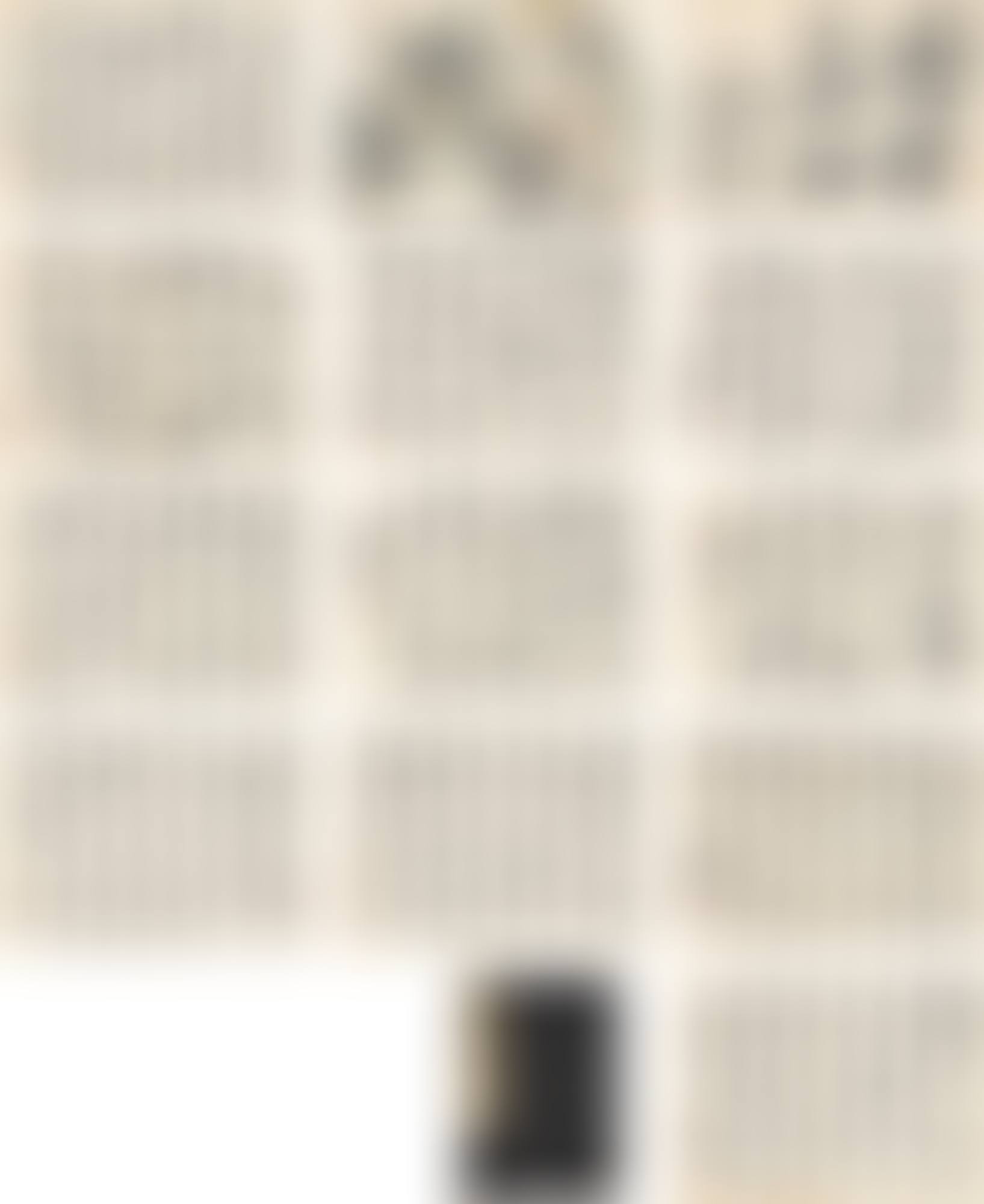 Solitary Scholar (preview)
