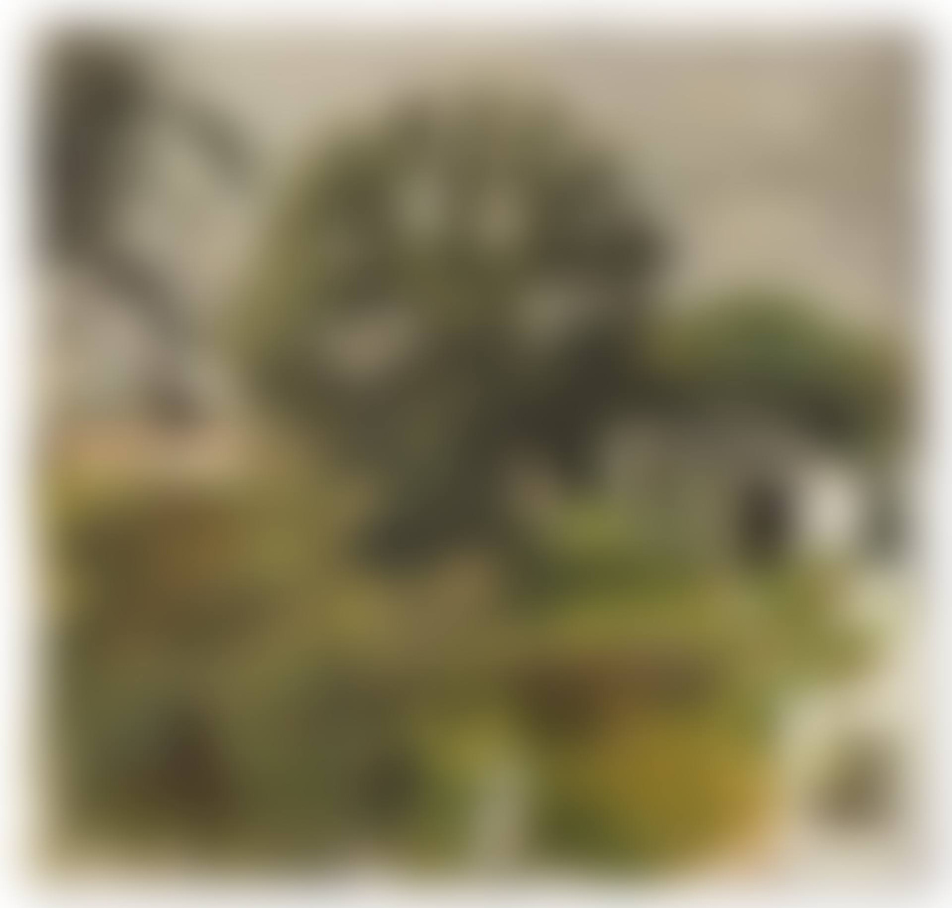 Garden at Sunset (preview)