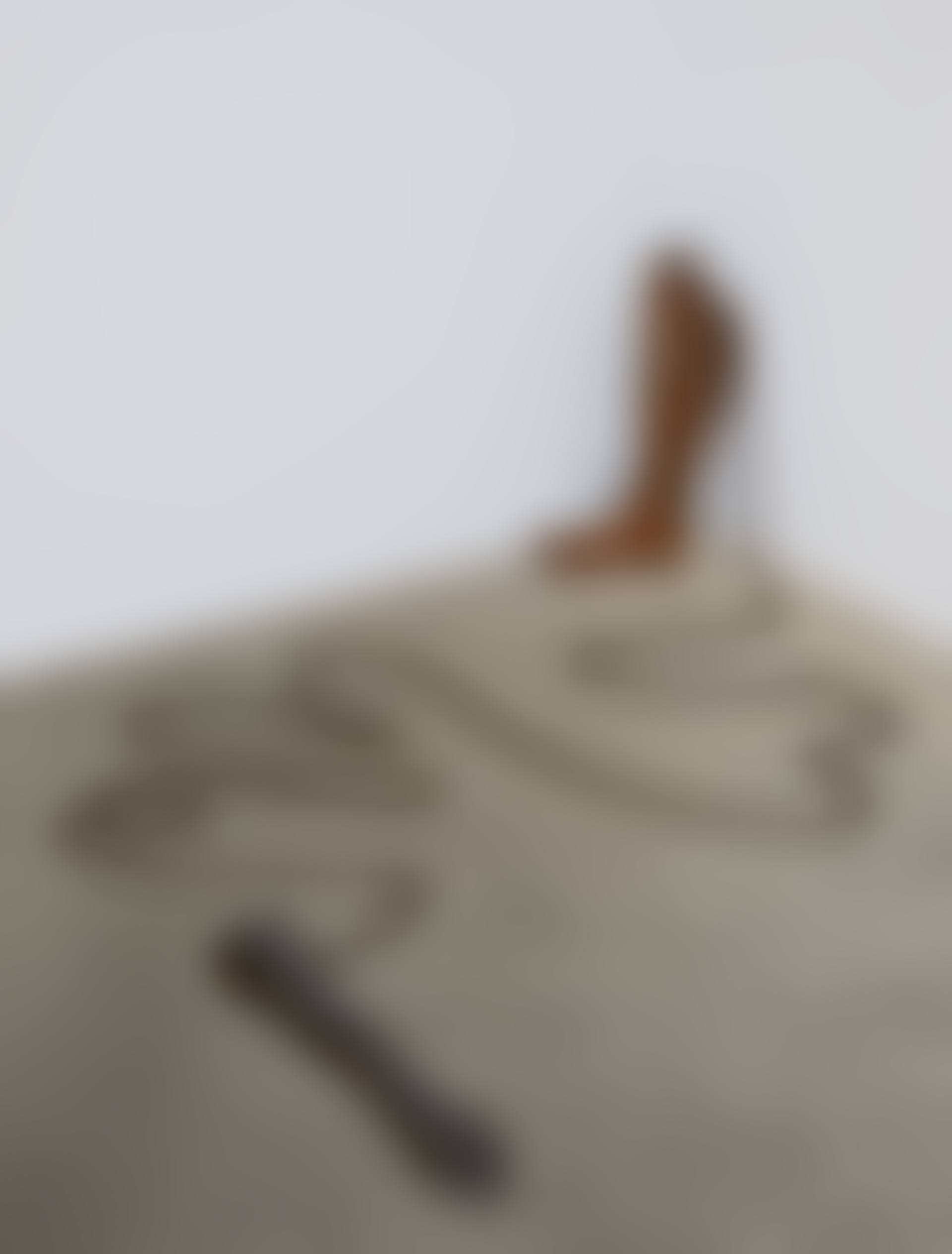 Untitled (arm and leg) (preview)